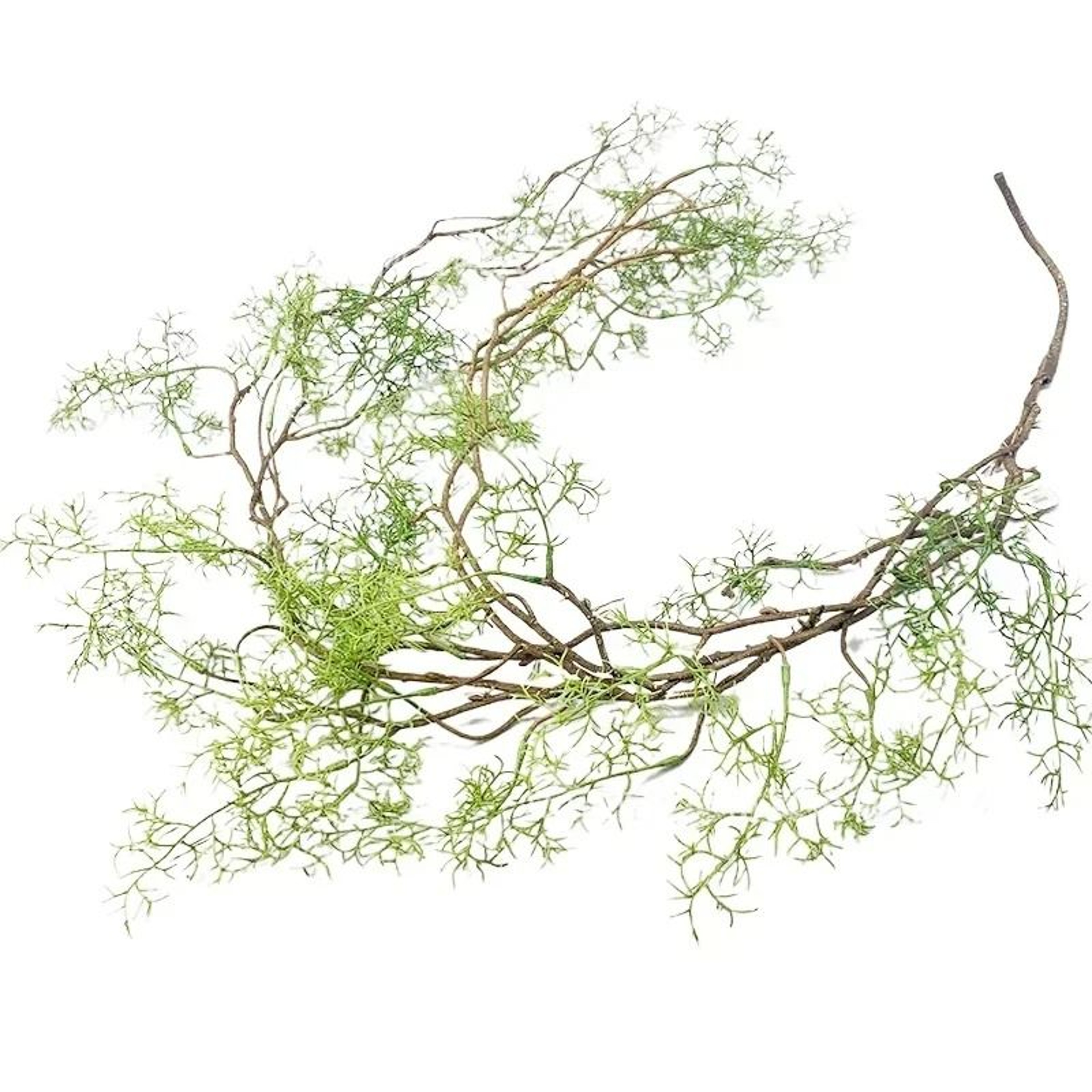 Long Artificial Asparagus Fern Hanging Vine  Lush Faux Rattan Greenery For Wall And Lobby Decor 3