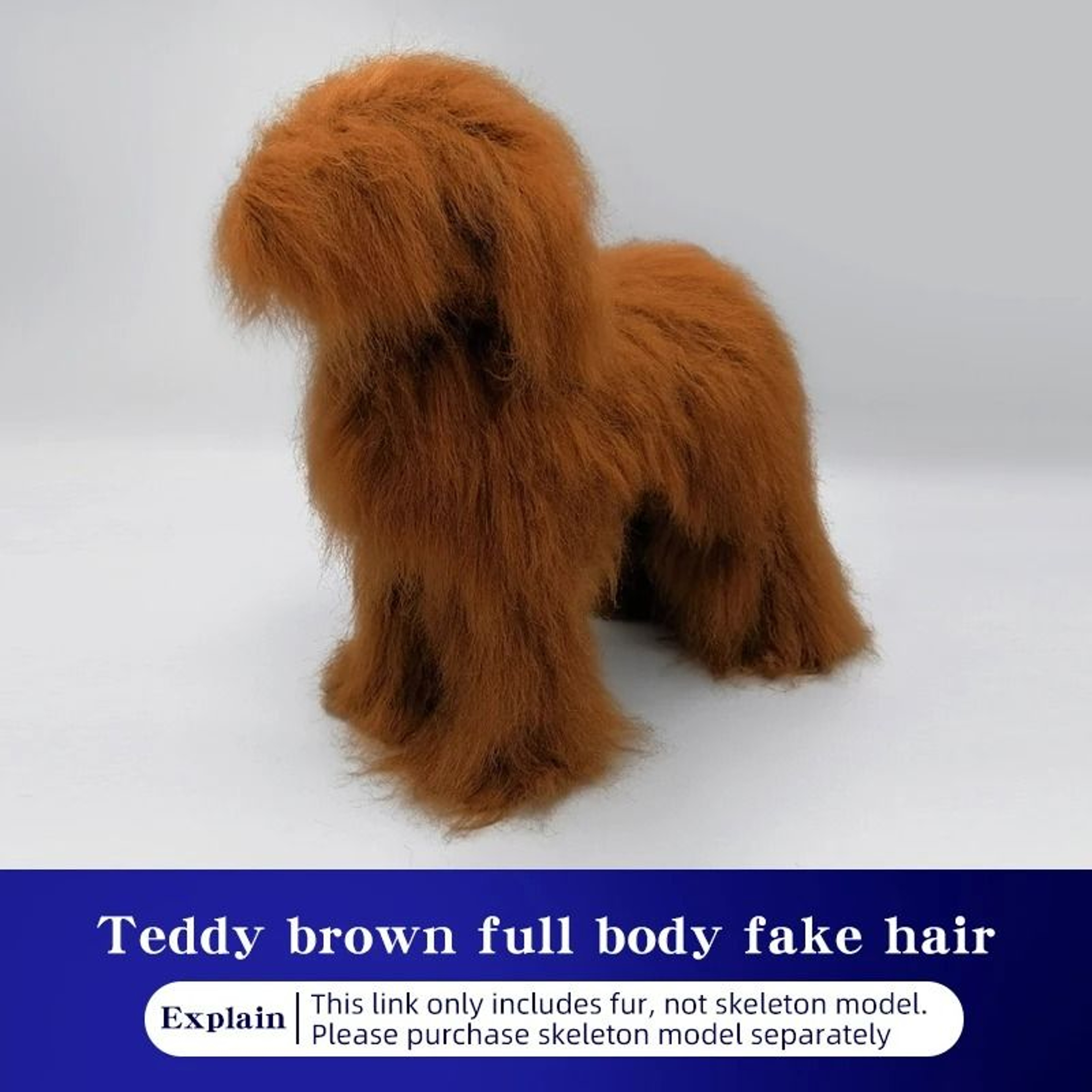 Teddy Grooming Practice Model  HighFidelity Simulation Hair Skeleton  Standard Head For Pet Beautic 11