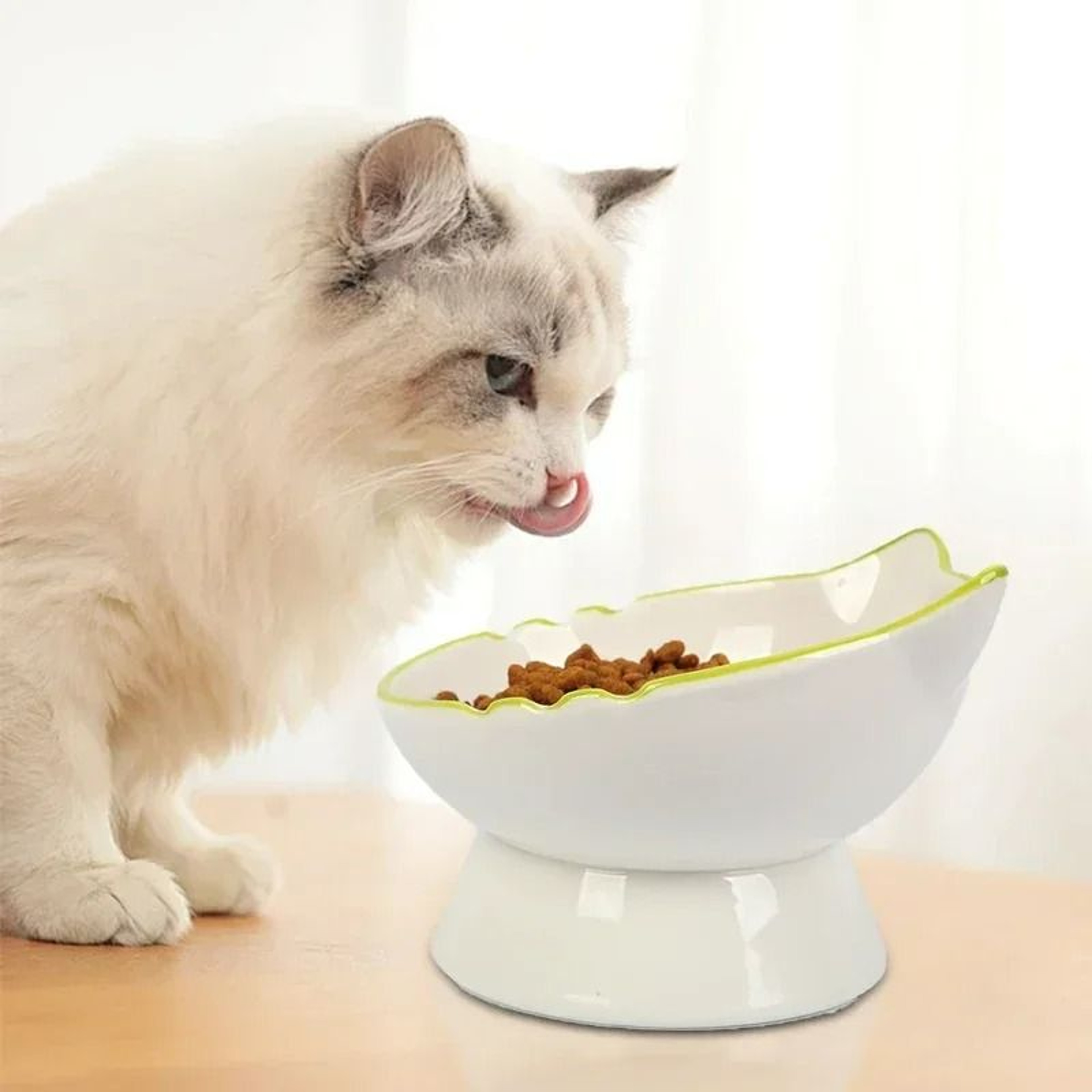 Ergonomic Stable Elevated Pet Feeding Bowl 2
