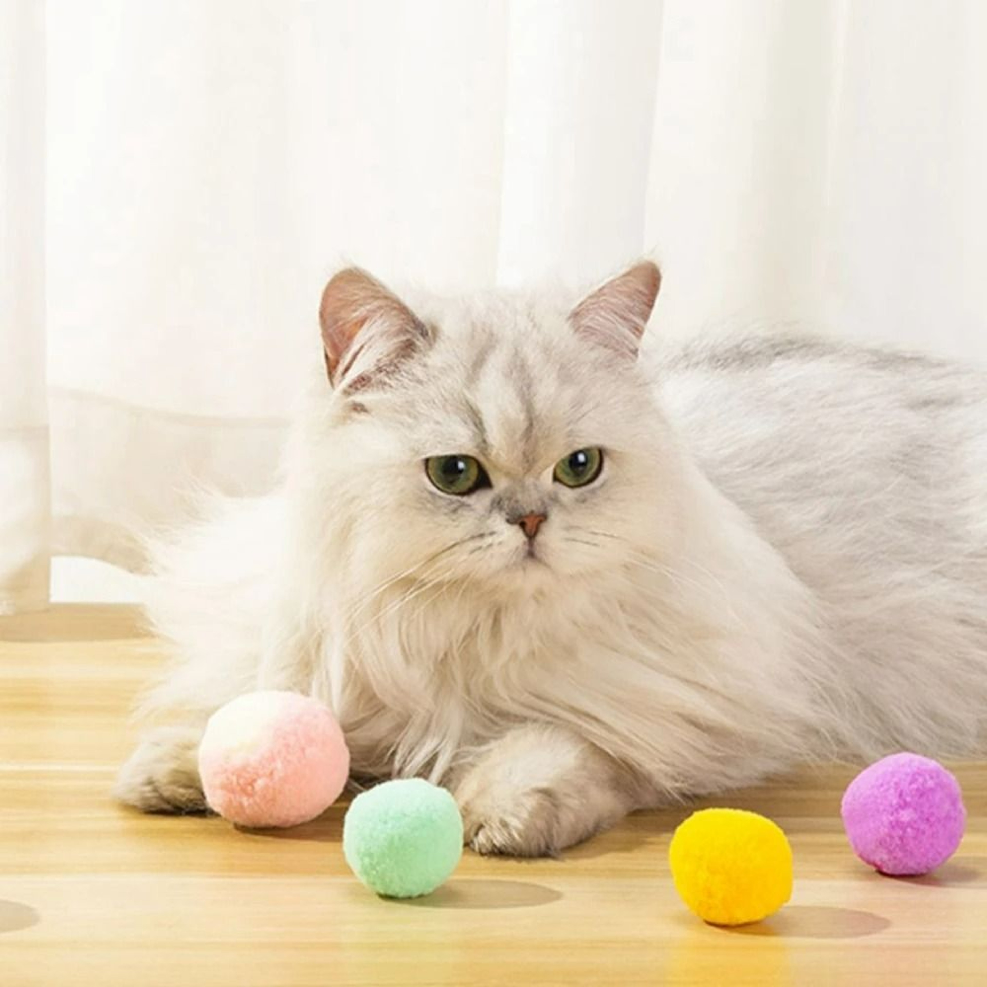 Interactive Soft PomPom Cat Toy Balls  12Piece MultiColor Play Set 3