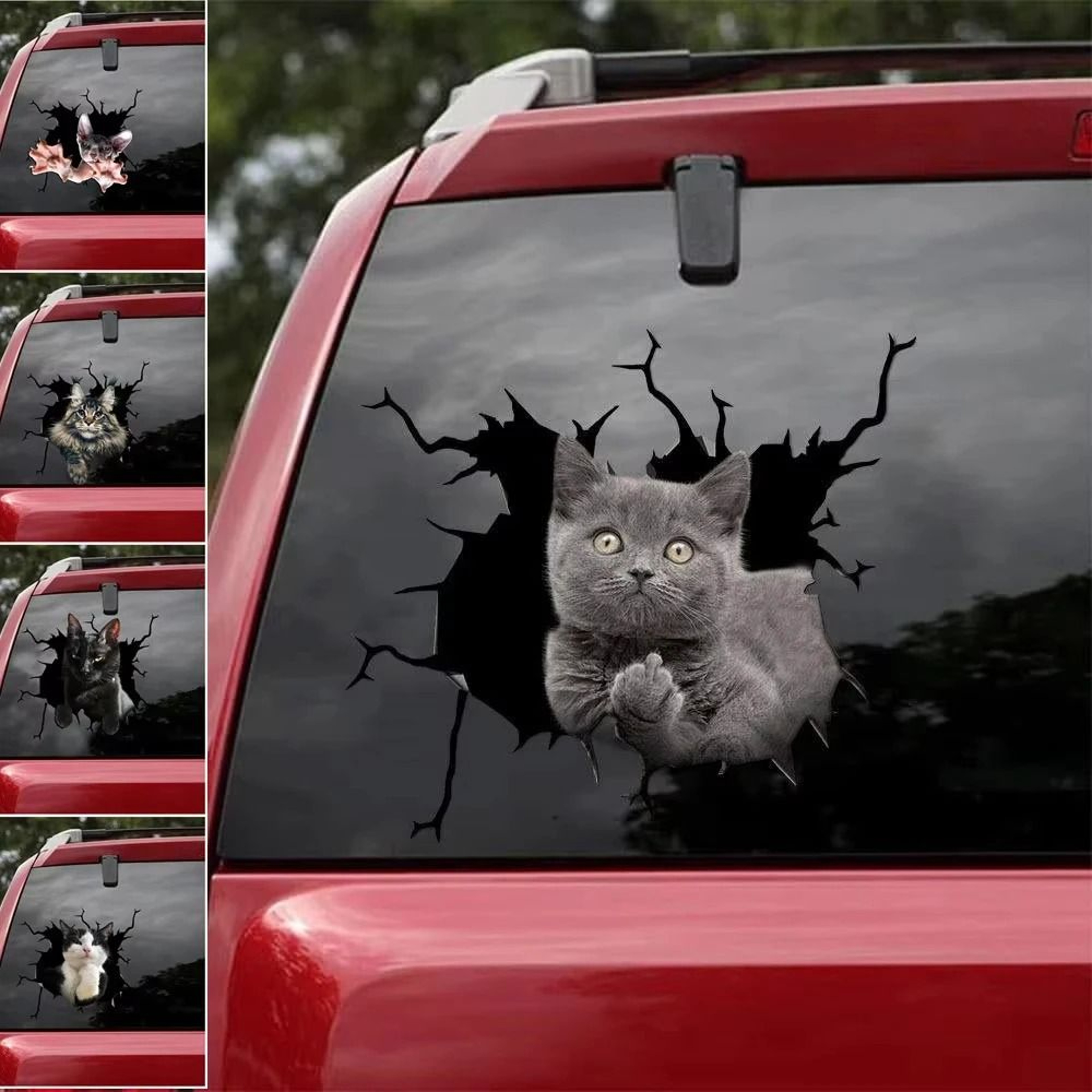 3D Cartoon Chicken Vinyl Decal  Car Window Sticker 2