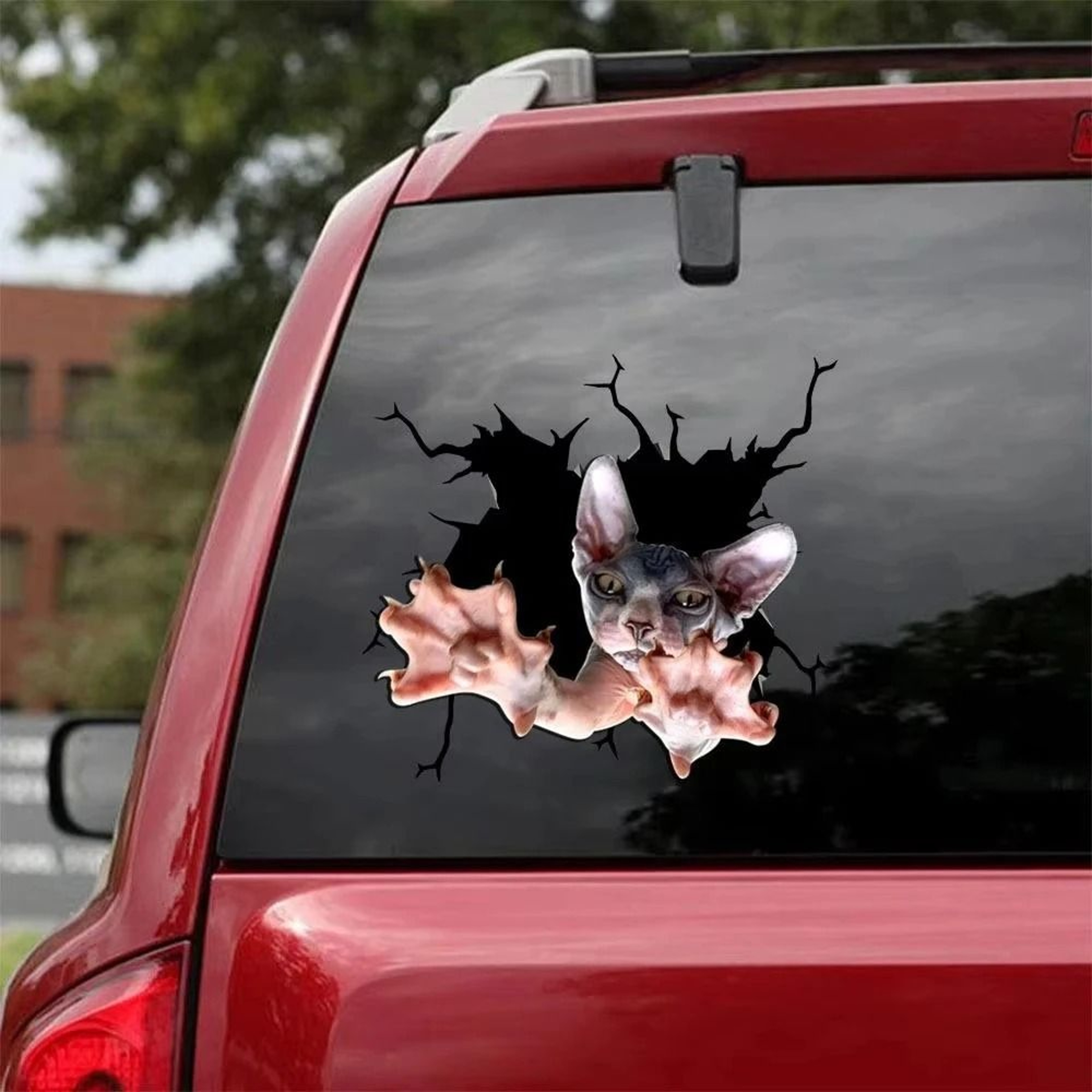 3D Cartoon Chicken Vinyl Decal  Car Window Sticker 4