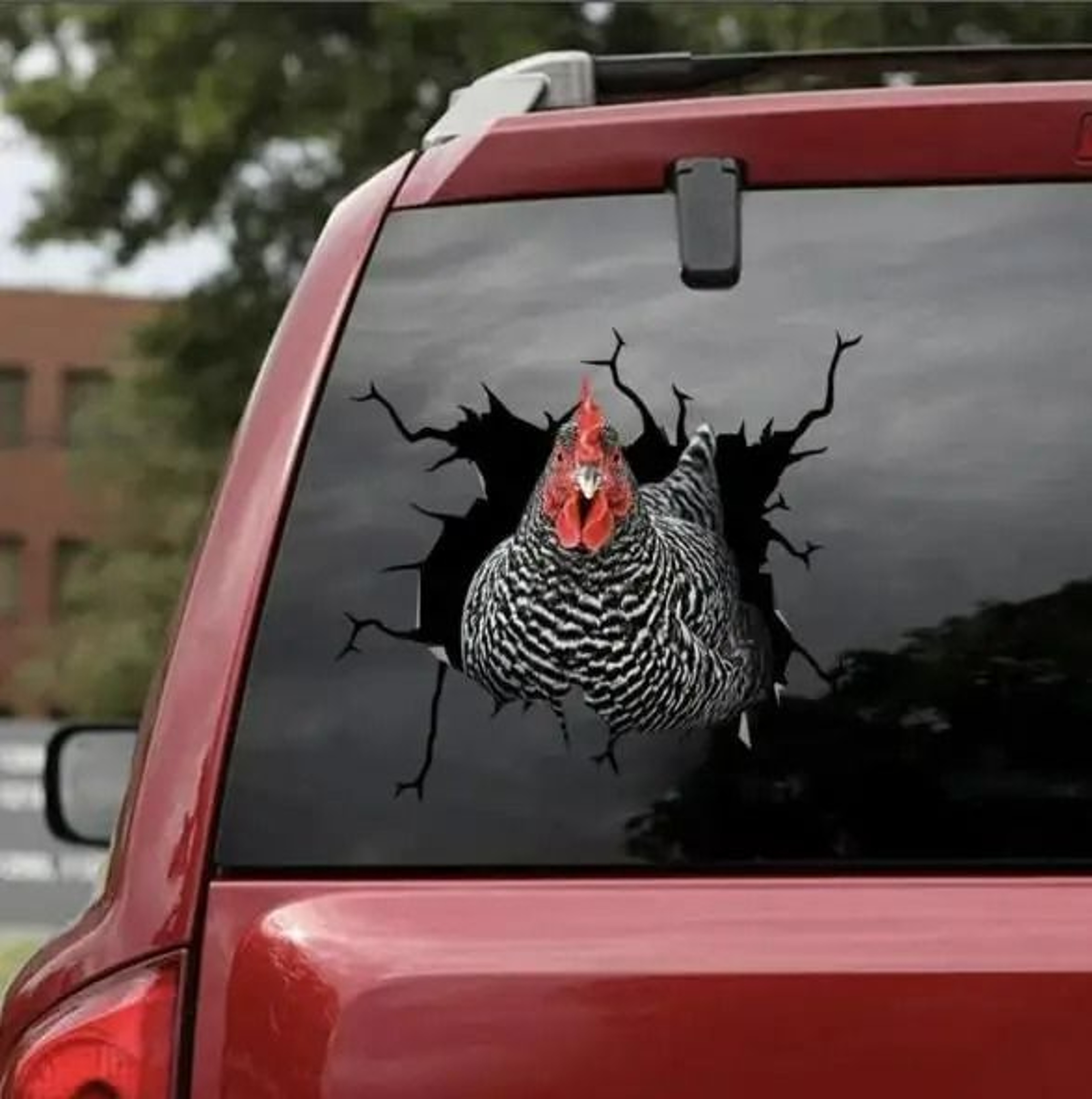 3D Cartoon Chicken Vinyl Decal  Car Window Sticker 7
