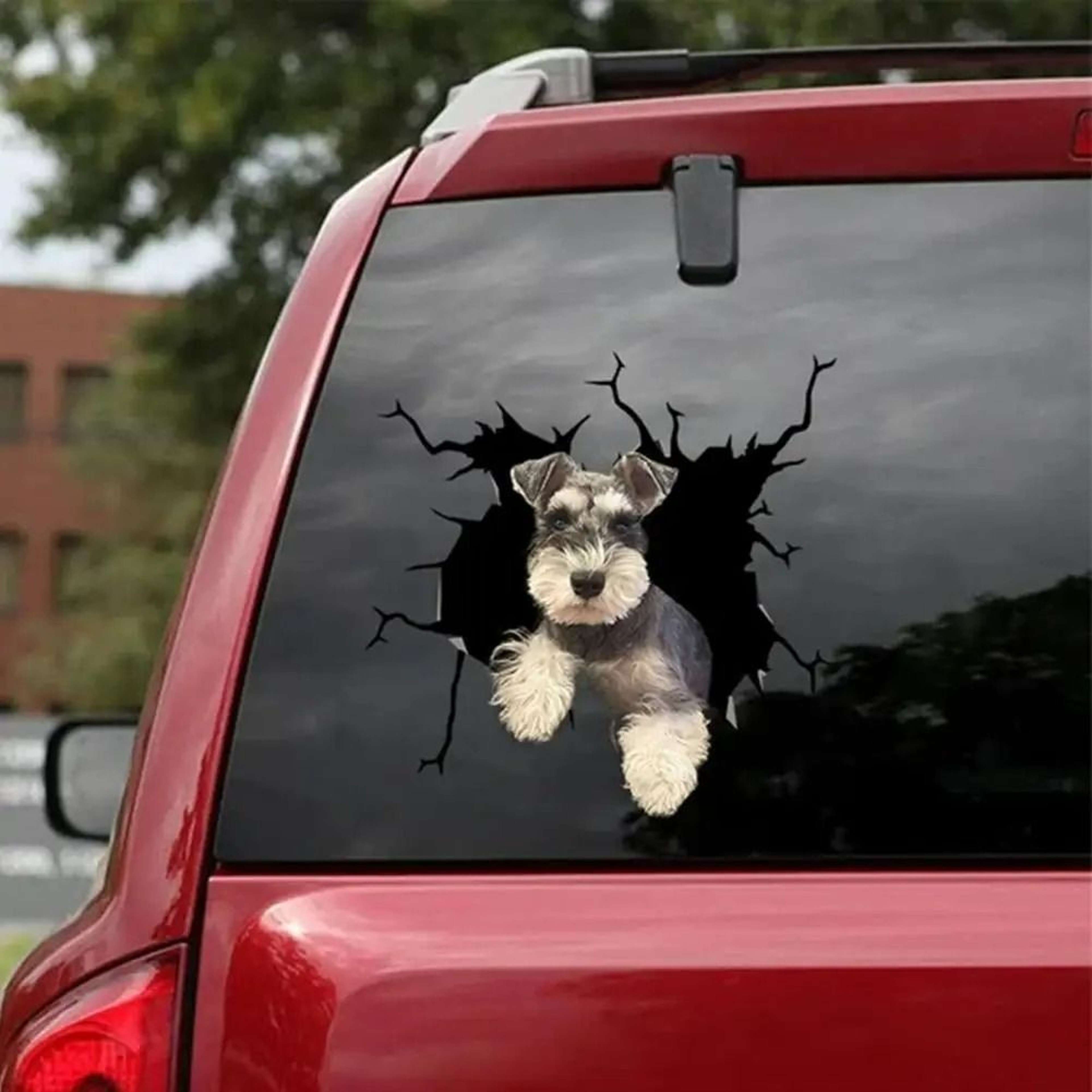 3D Cartoon Chicken Vinyl Decal  Car Window Sticker 16