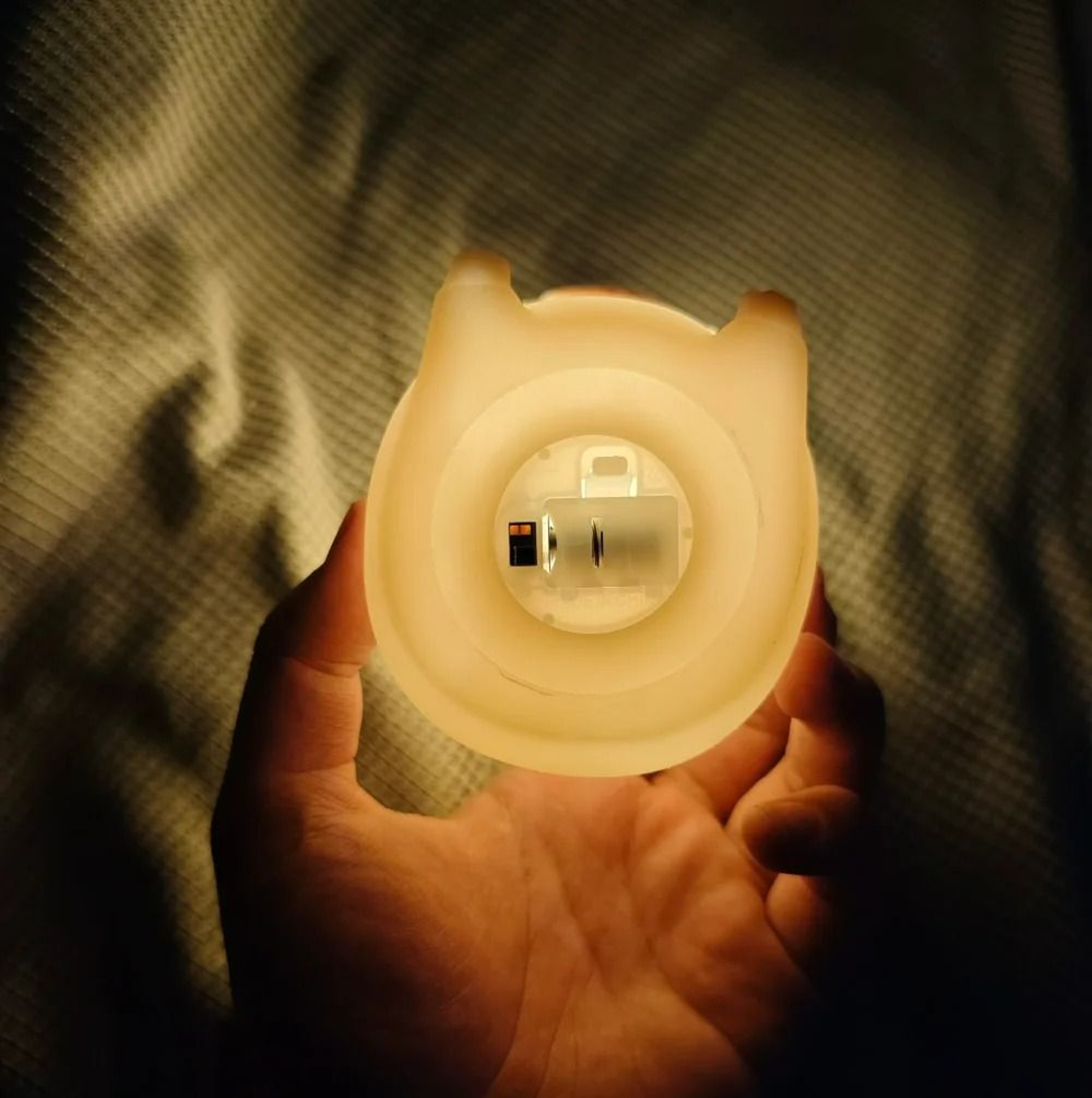 Silicone Capybara Cute LED Night Light 6