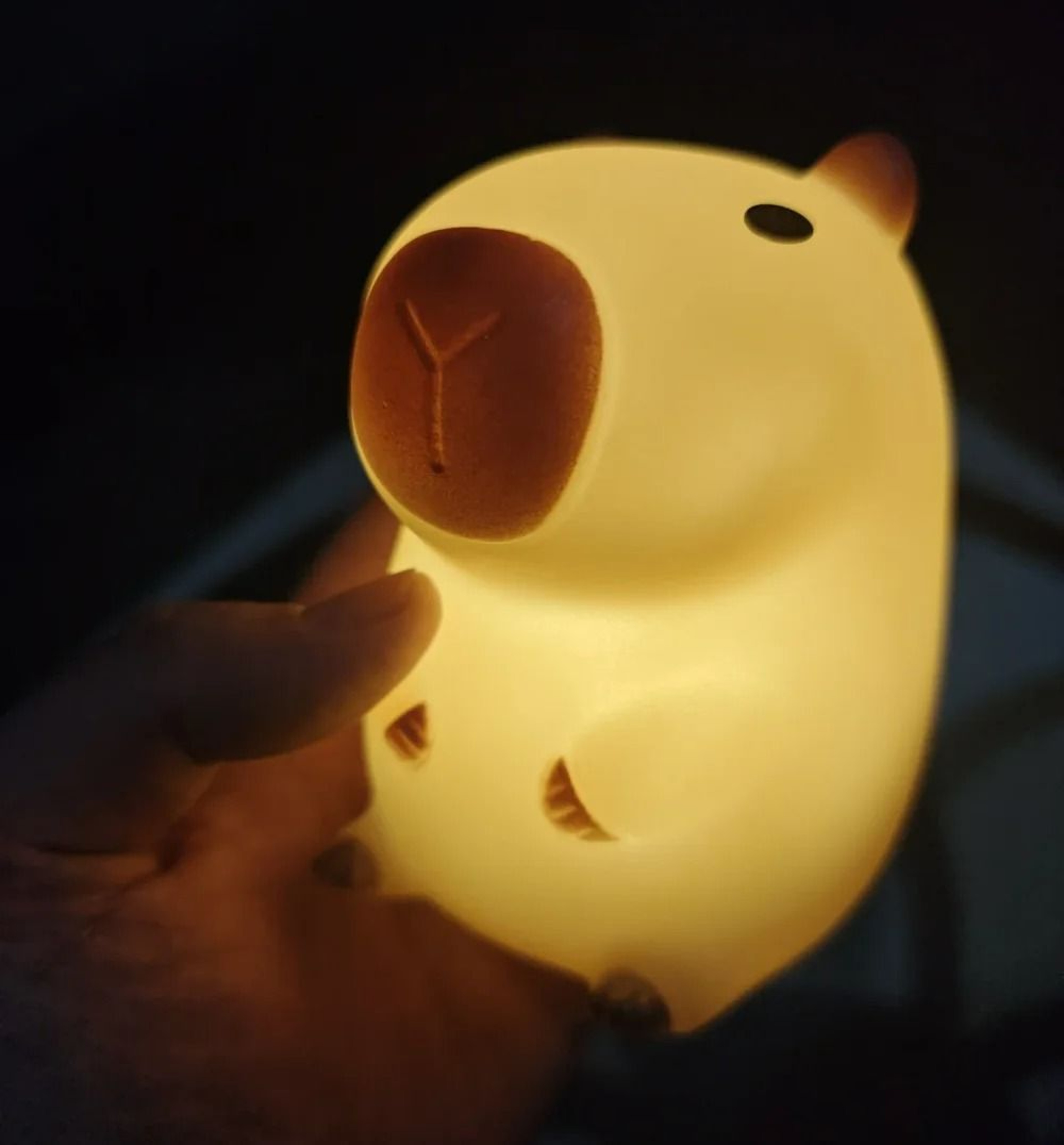 Silicone Capybara Cute LED Night Light 5