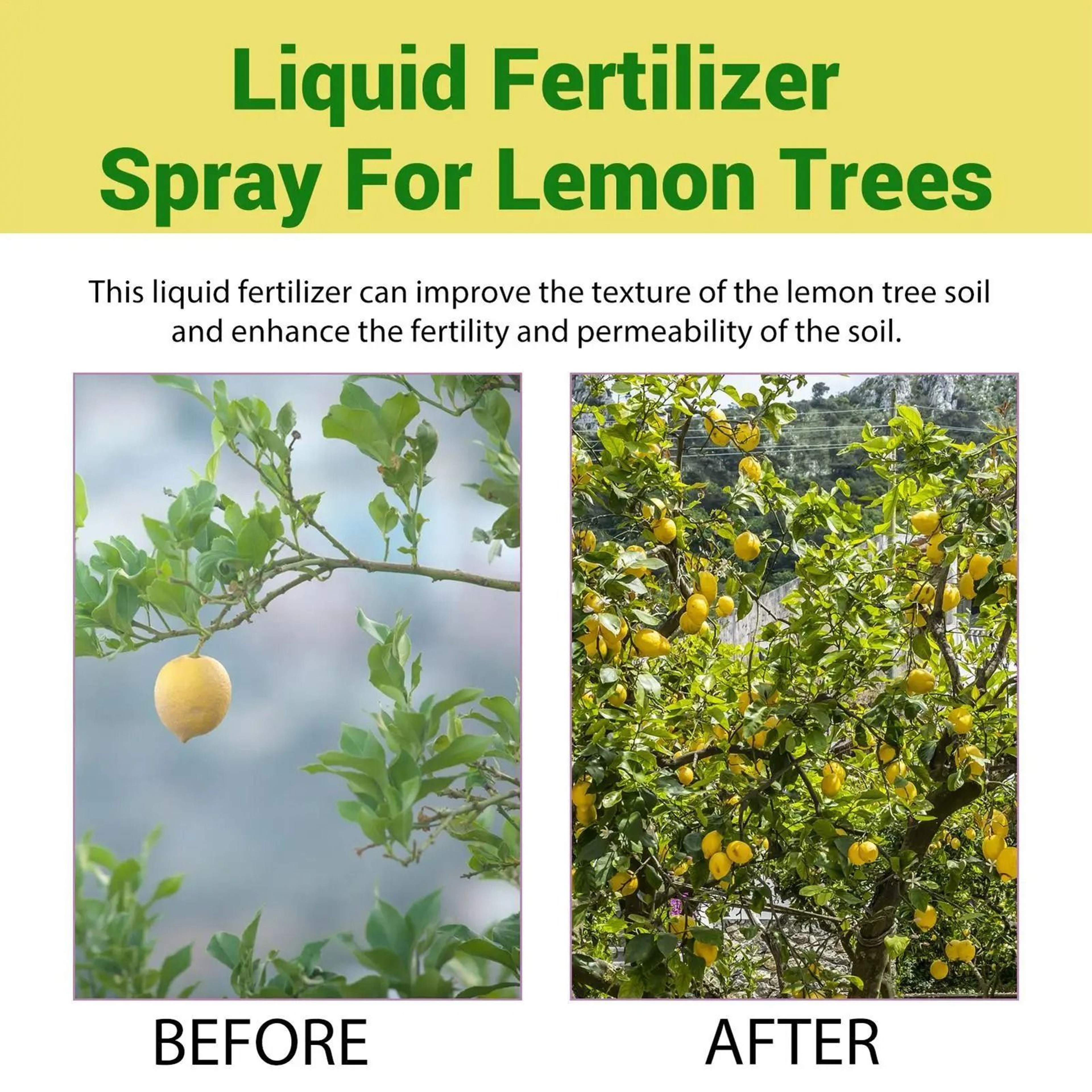 Organic Lemon And Citrus Tree Foliar Fertilizer Spray 3