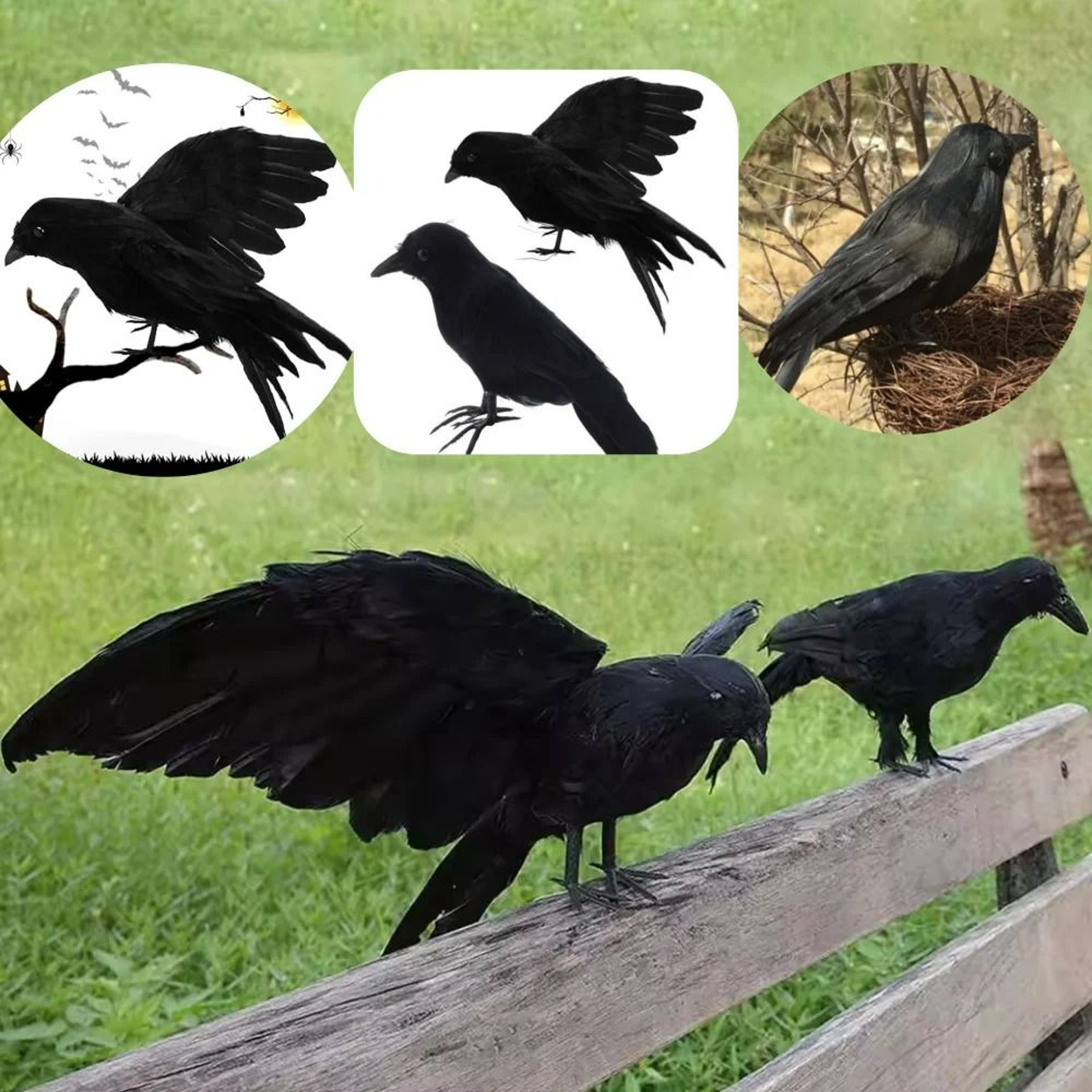 Lifelike Feathered Black Raven  Crow Prop 0