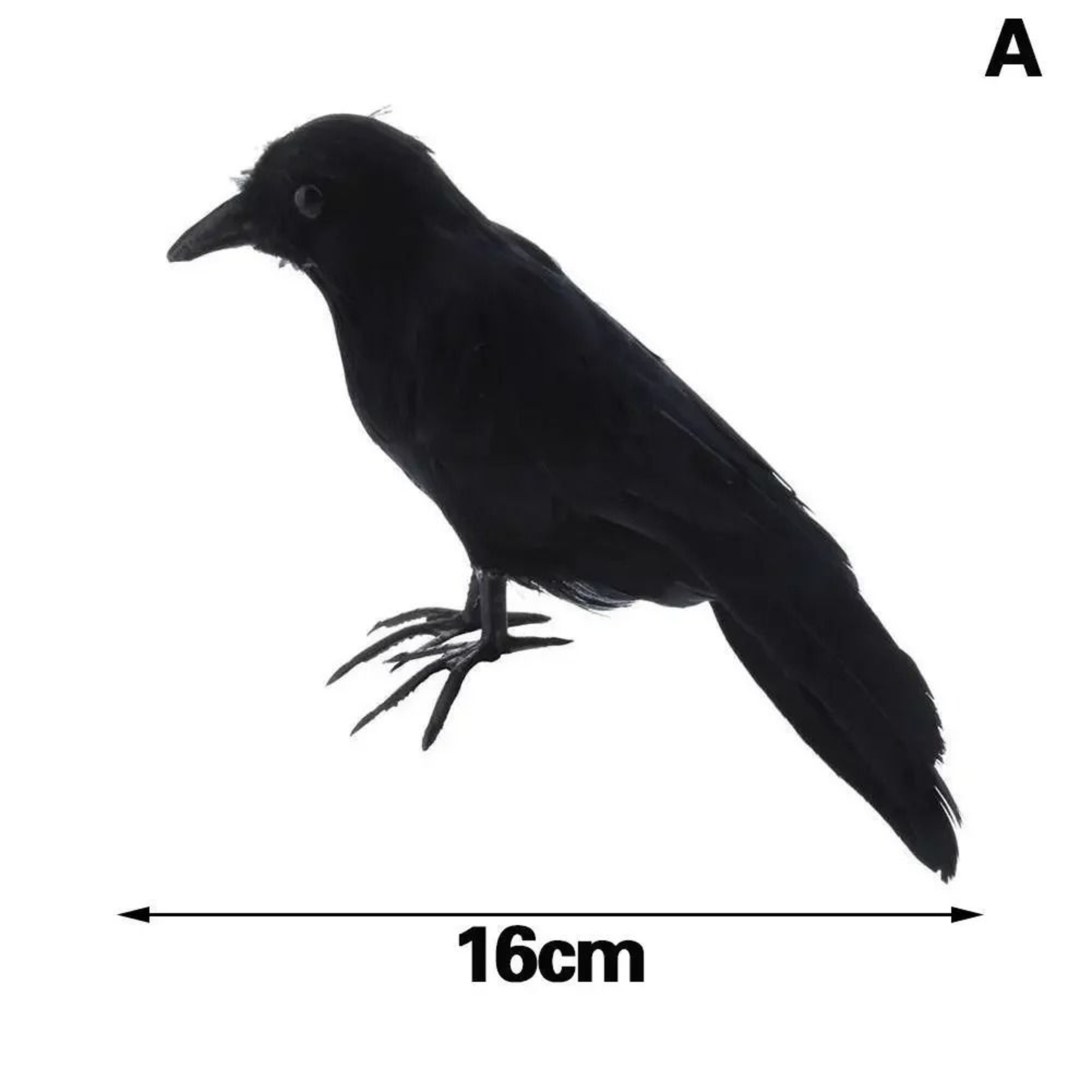 Lifelike Feathered Black Raven  Crow Prop 6
