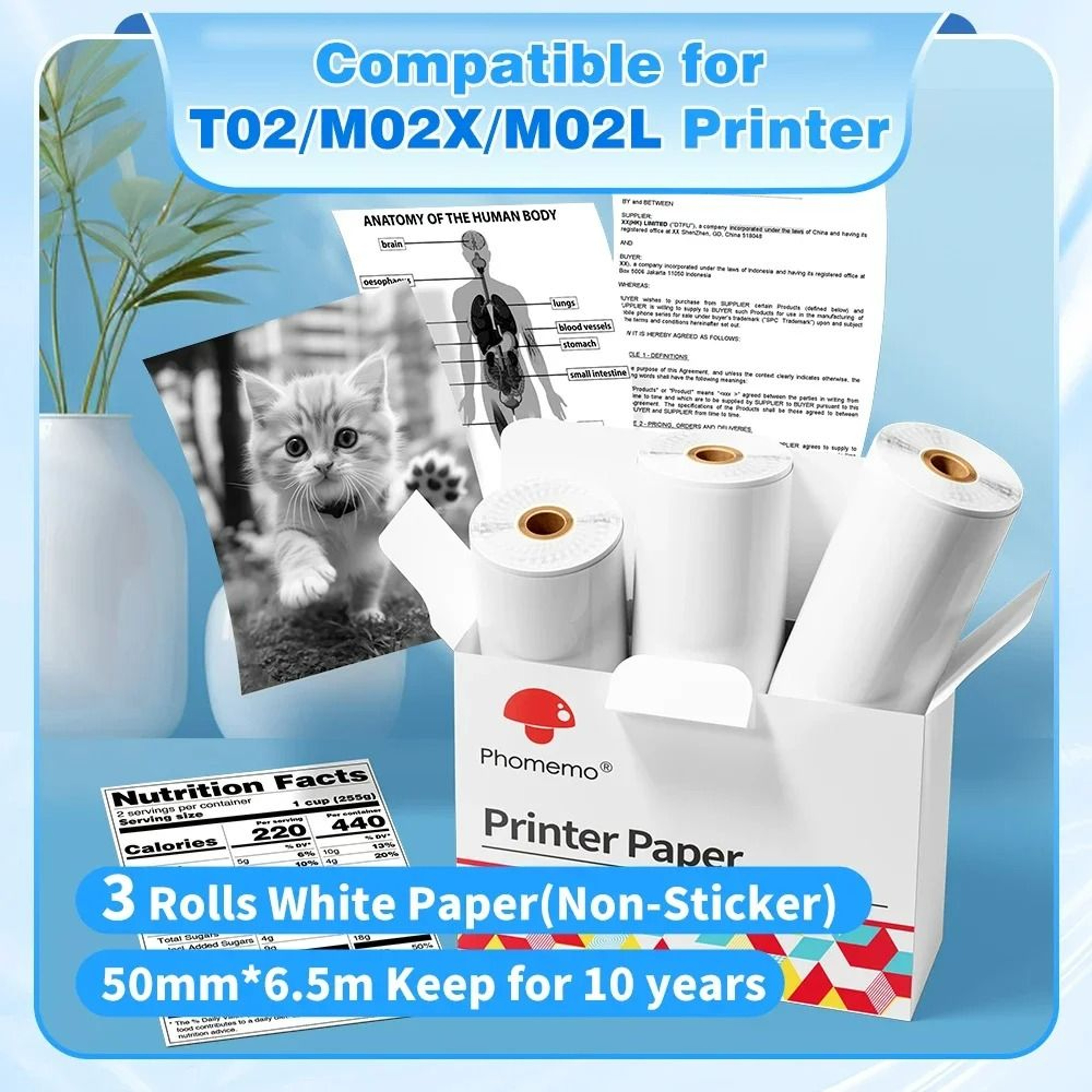 LongPreservation Direct Thermal Paper Rolls 50 Mm  53 Mm 11