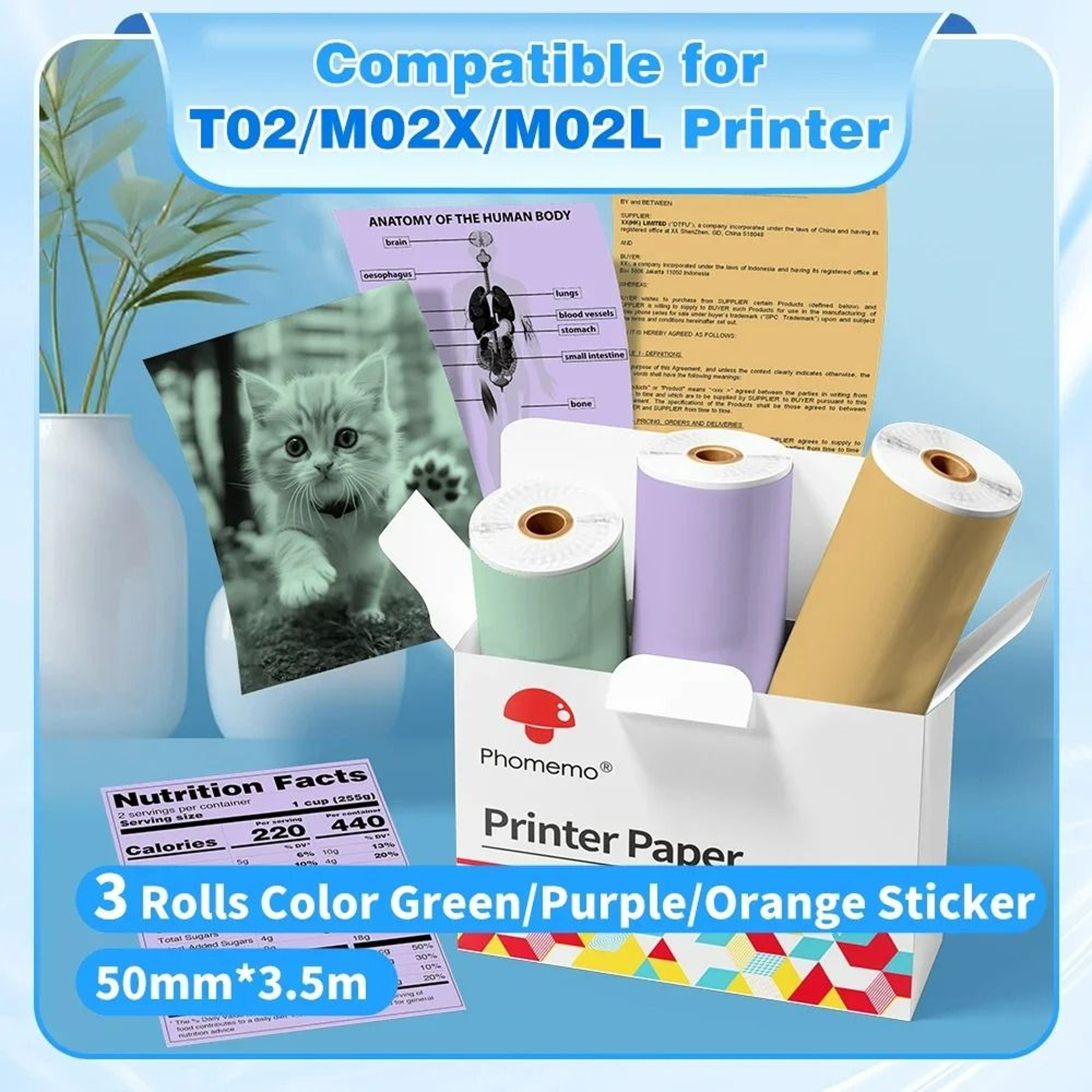 LongPreservation Direct Thermal Paper Rolls 50 Mm  53 Mm 9