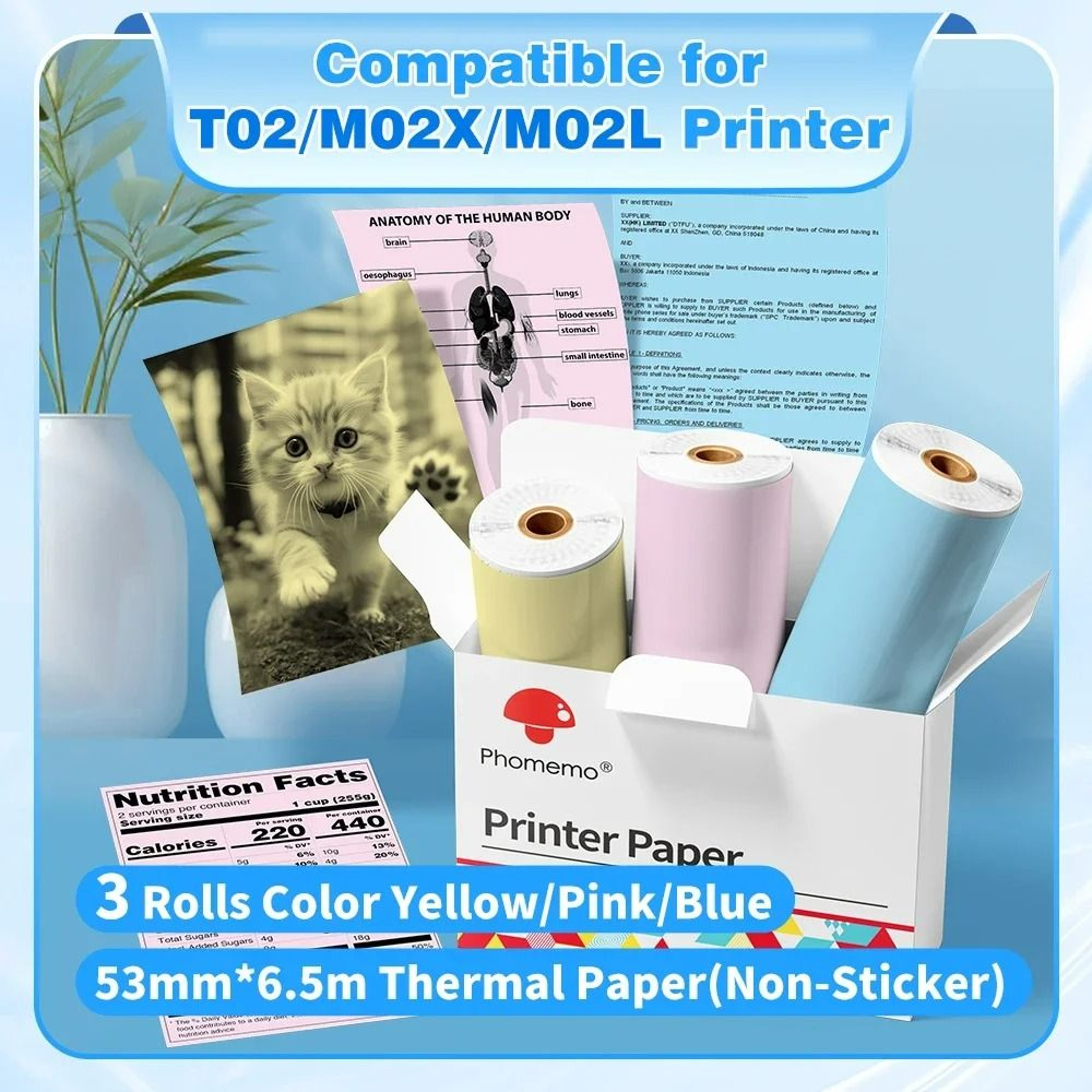 LongPreservation Direct Thermal Paper Rolls 50 Mm  53 Mm 6