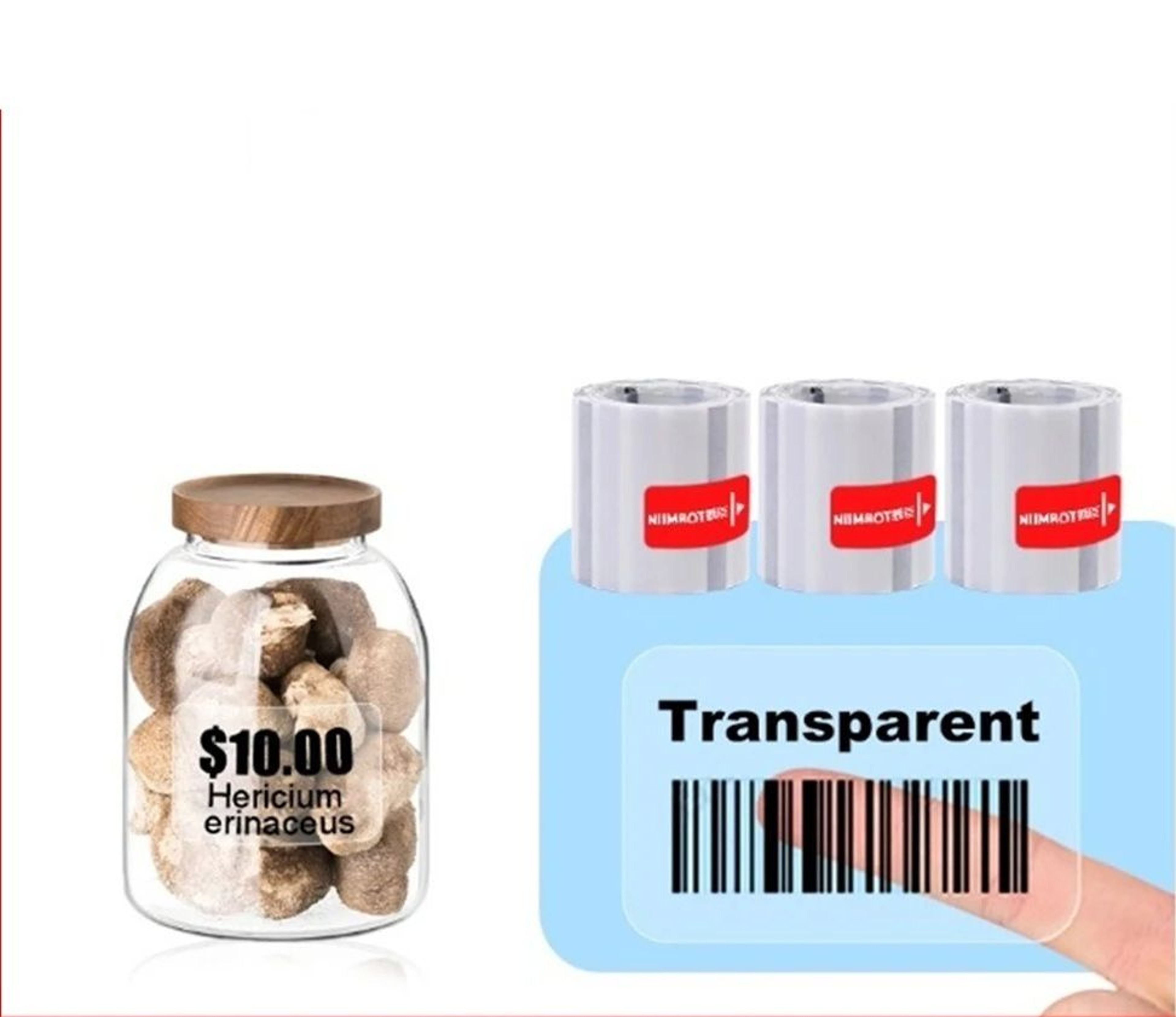 Transparent Waterproof Thermal Label Paper Roll Set For B1  B21 Printers 0