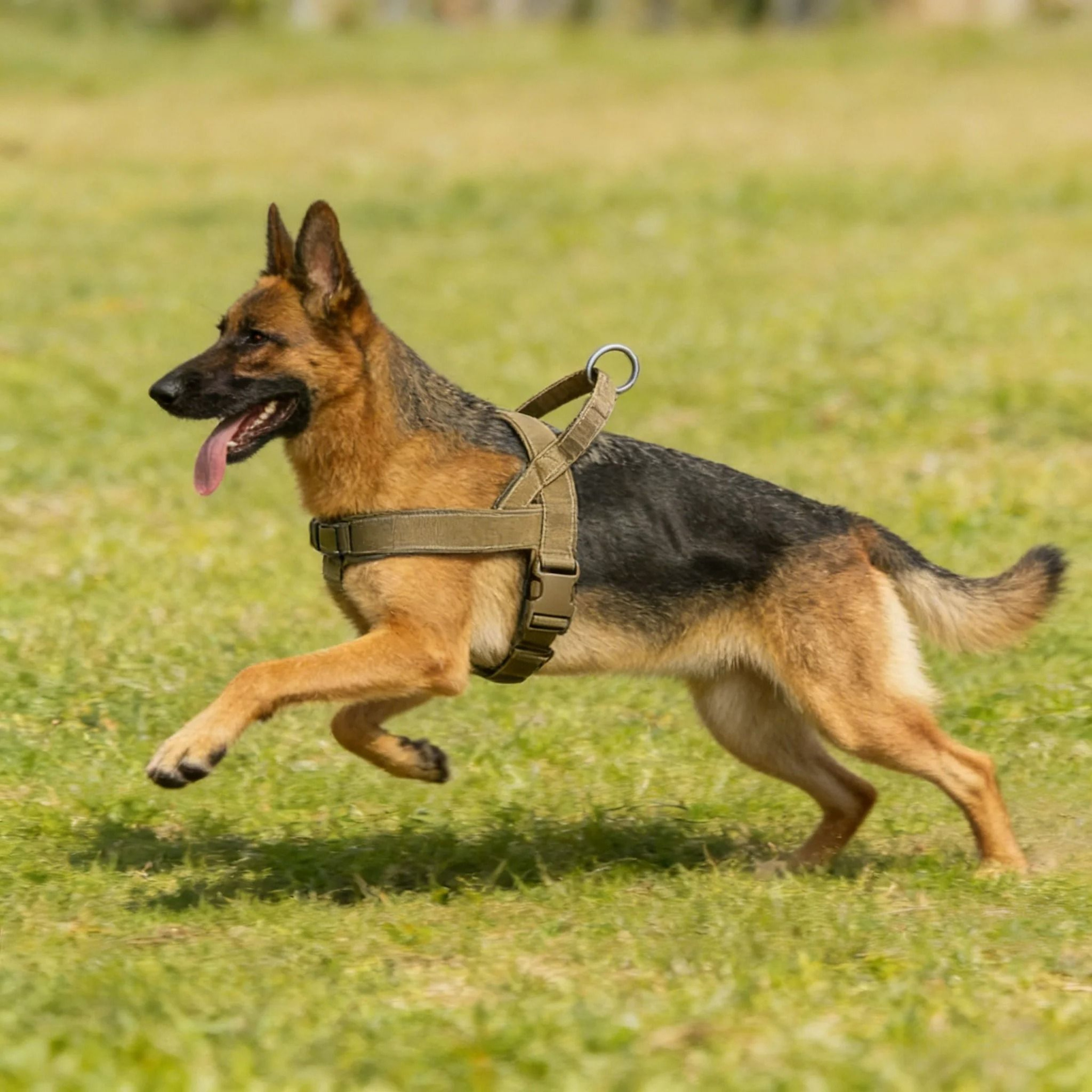 HeavyDuty Tactical NoPull Dog Harness  Reflective Control Vest 1