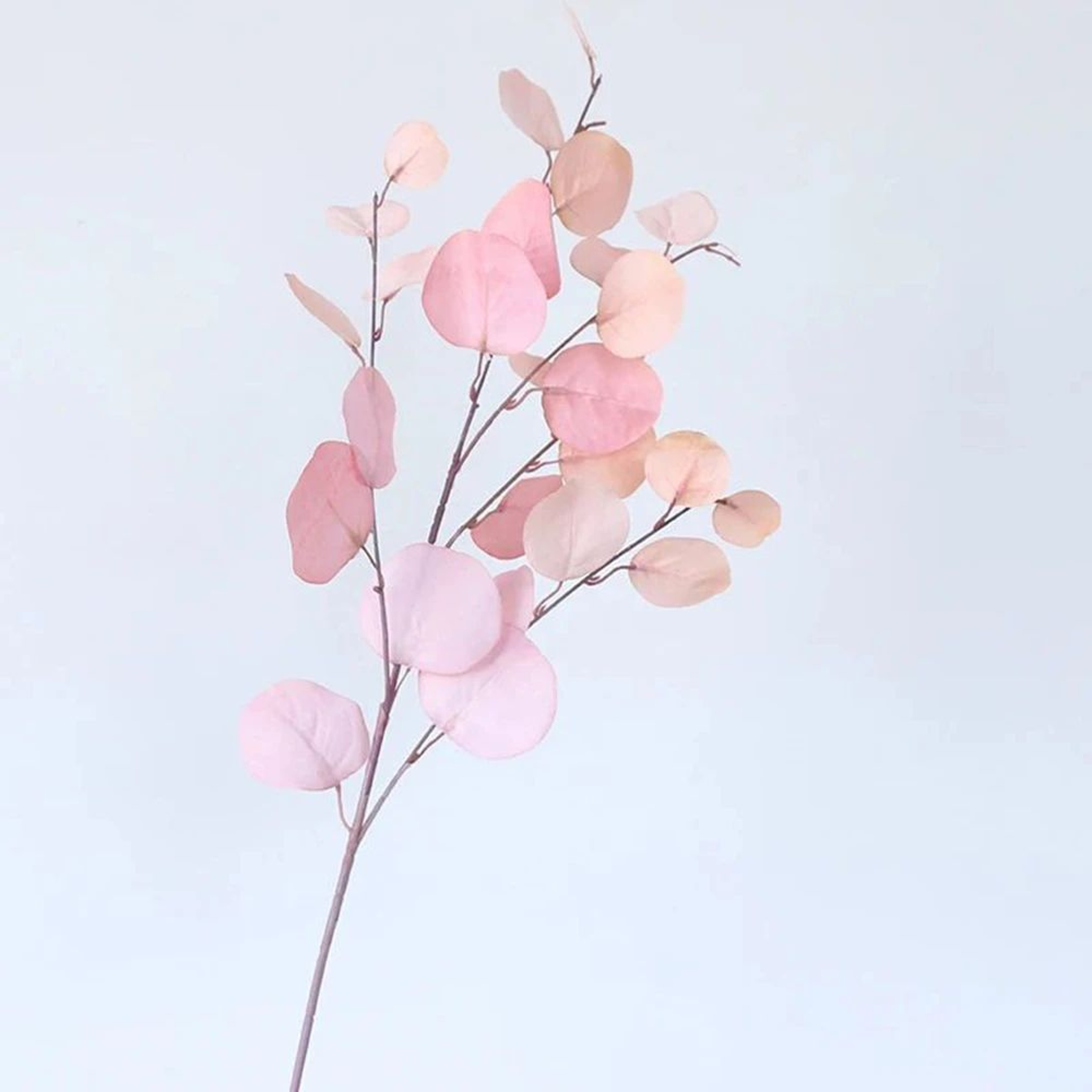 Artificial Eucalyptus Stems Long Faux Greenery Leaves Decor For Vase And Wall Styling 13