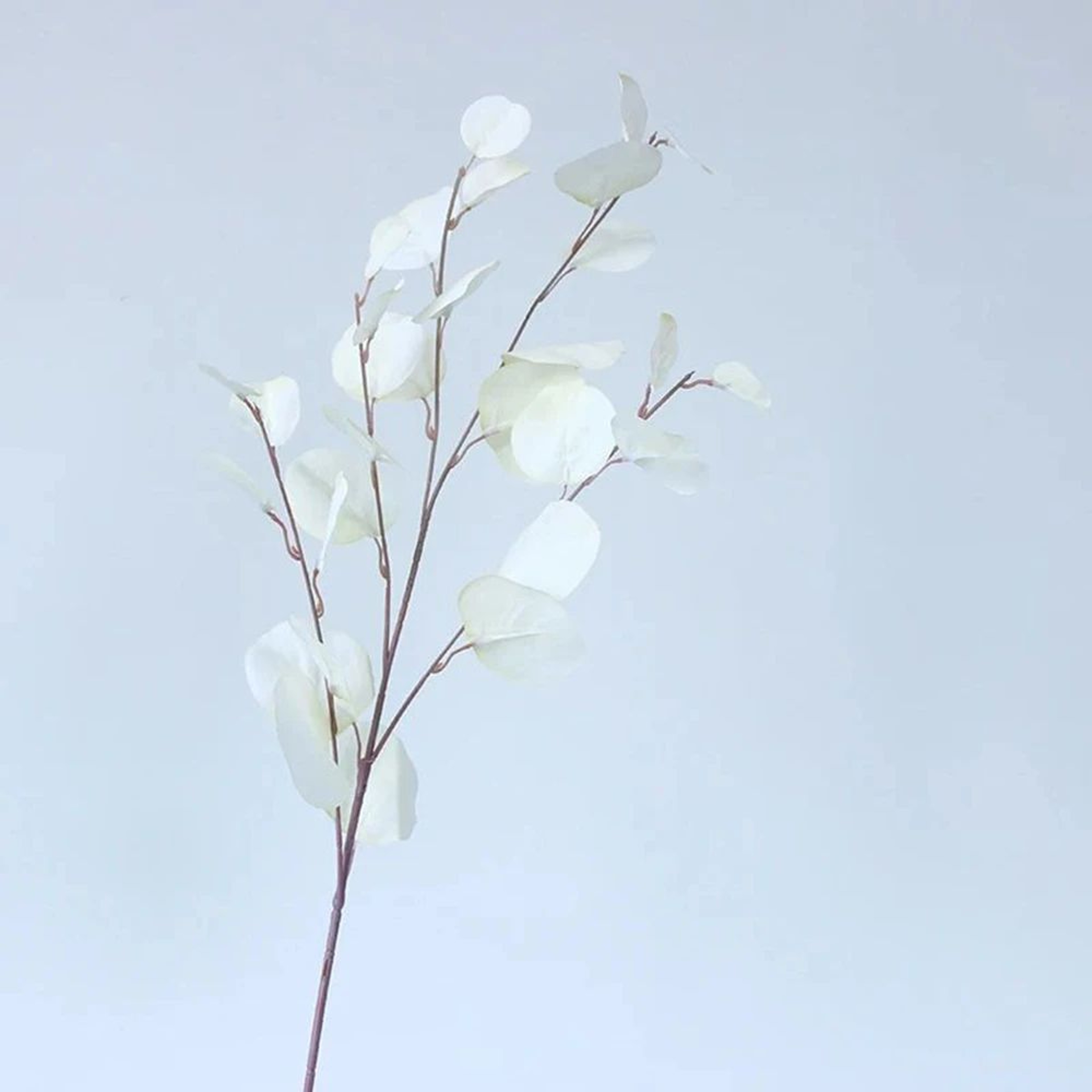 Artificial Eucalyptus Stems Long Faux Greenery Leaves Decor For Vase And Wall Styling 7