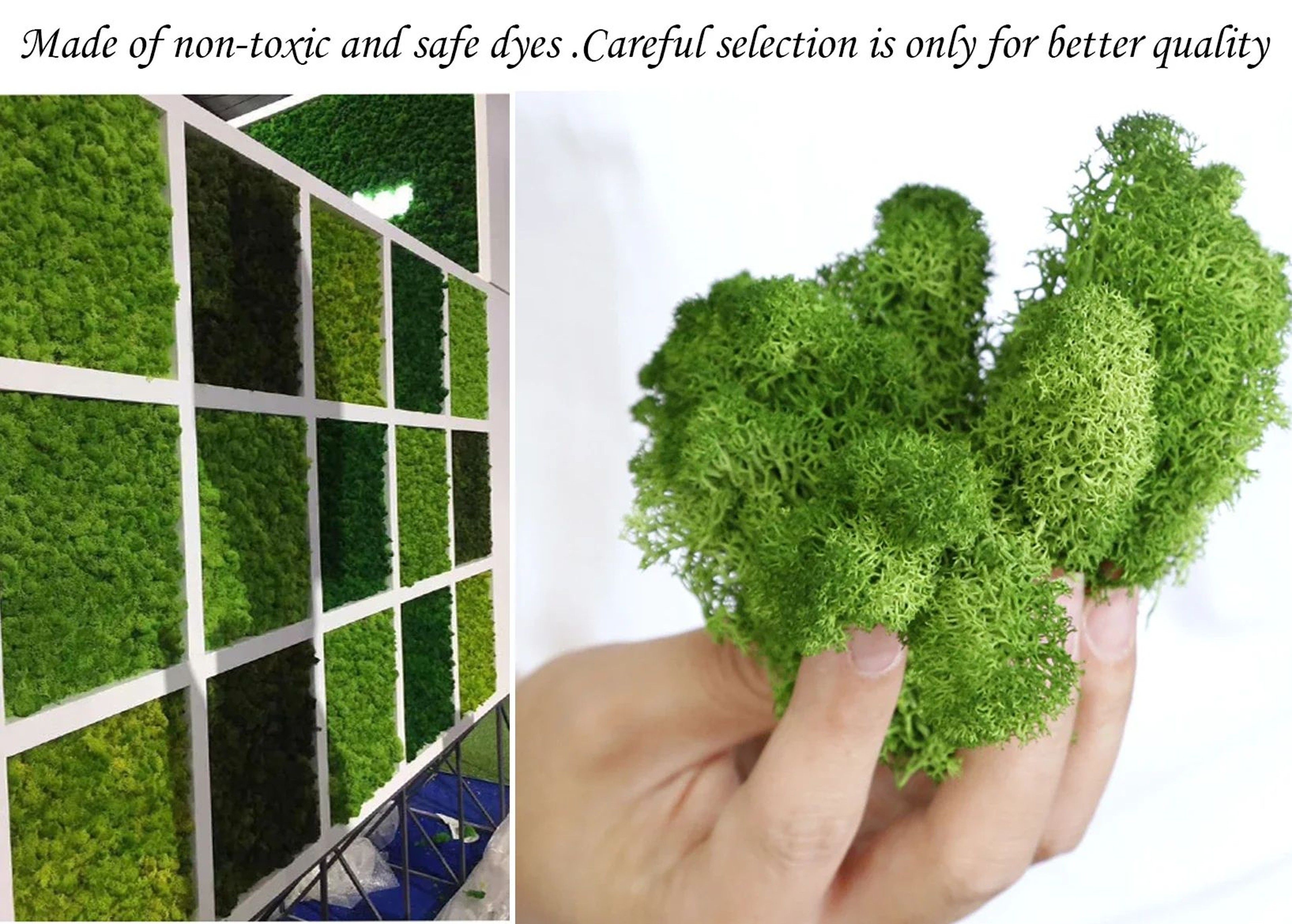 Transform Ordinary Spaces Into Calming Green Sanctuaries With This Soft Lifelike Reindeer Moss That 1