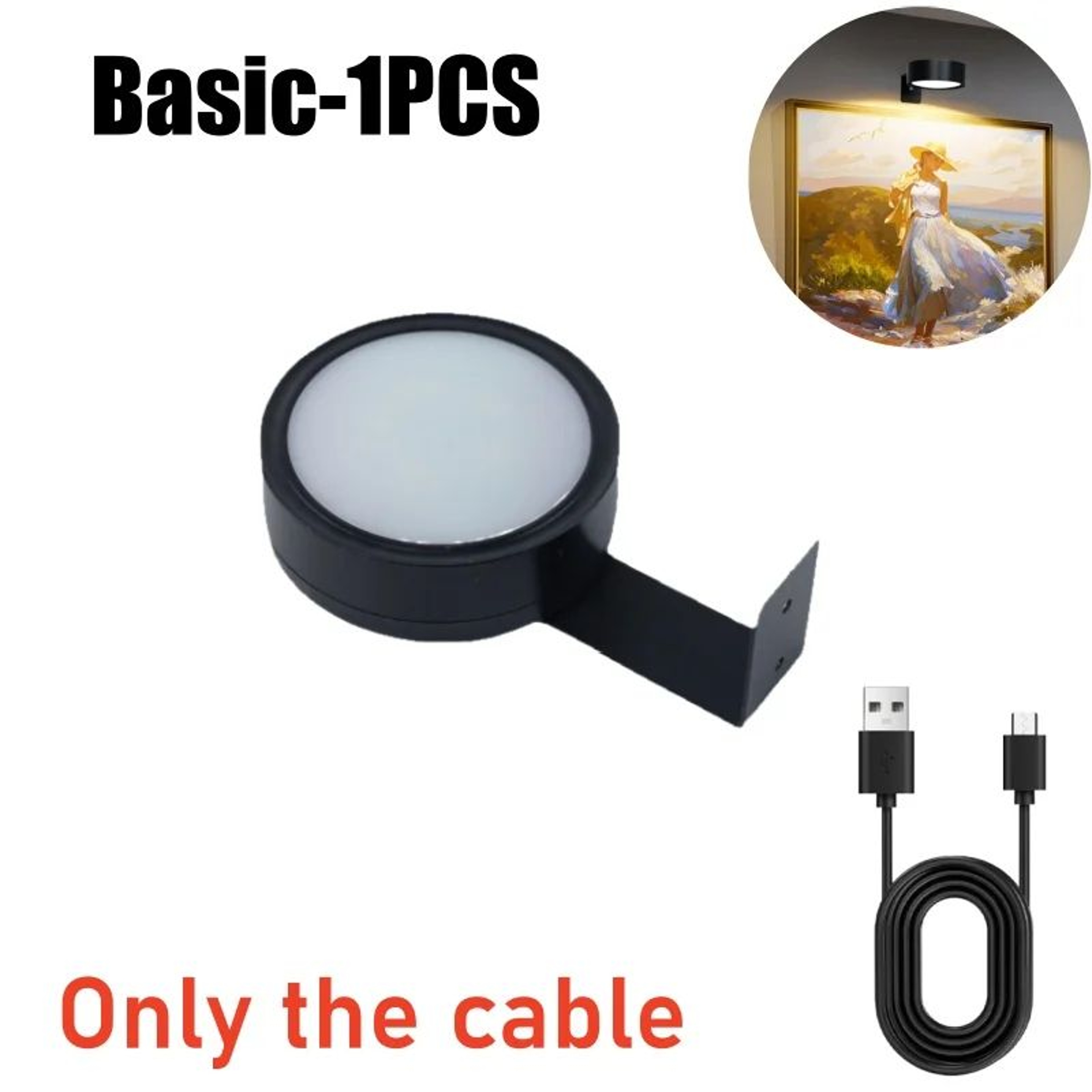 13 Color RGB Magnetic LED Picture Light 6