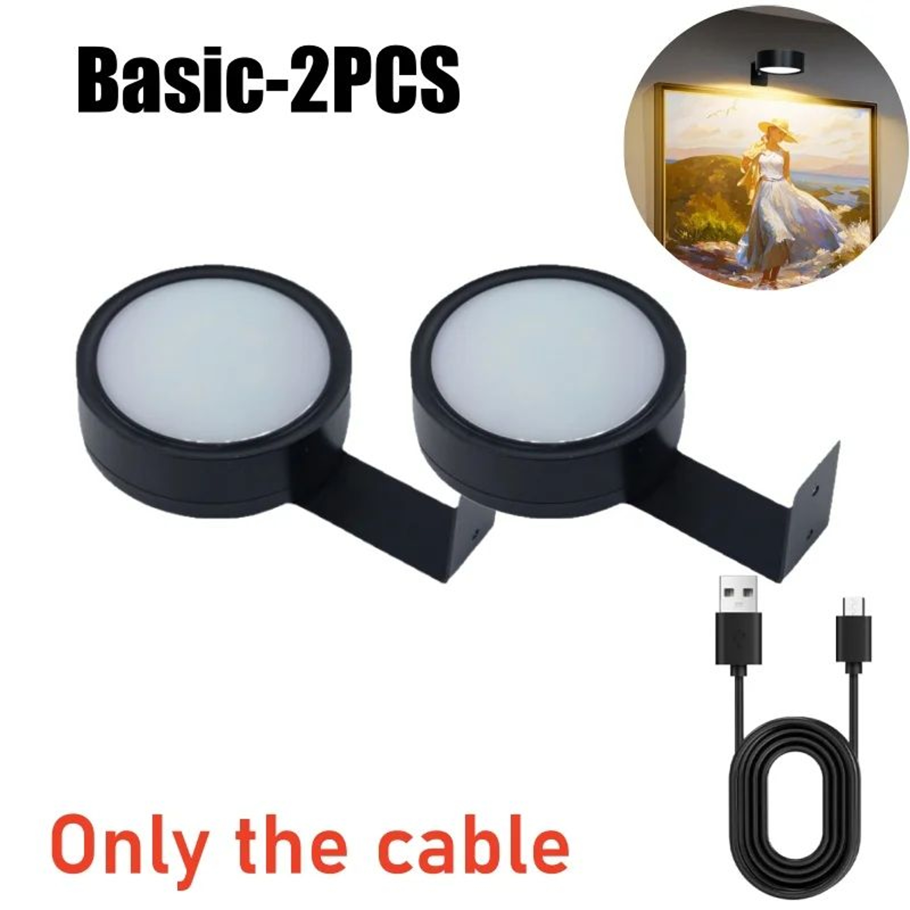 13 Color RGB Magnetic LED Picture Light 7