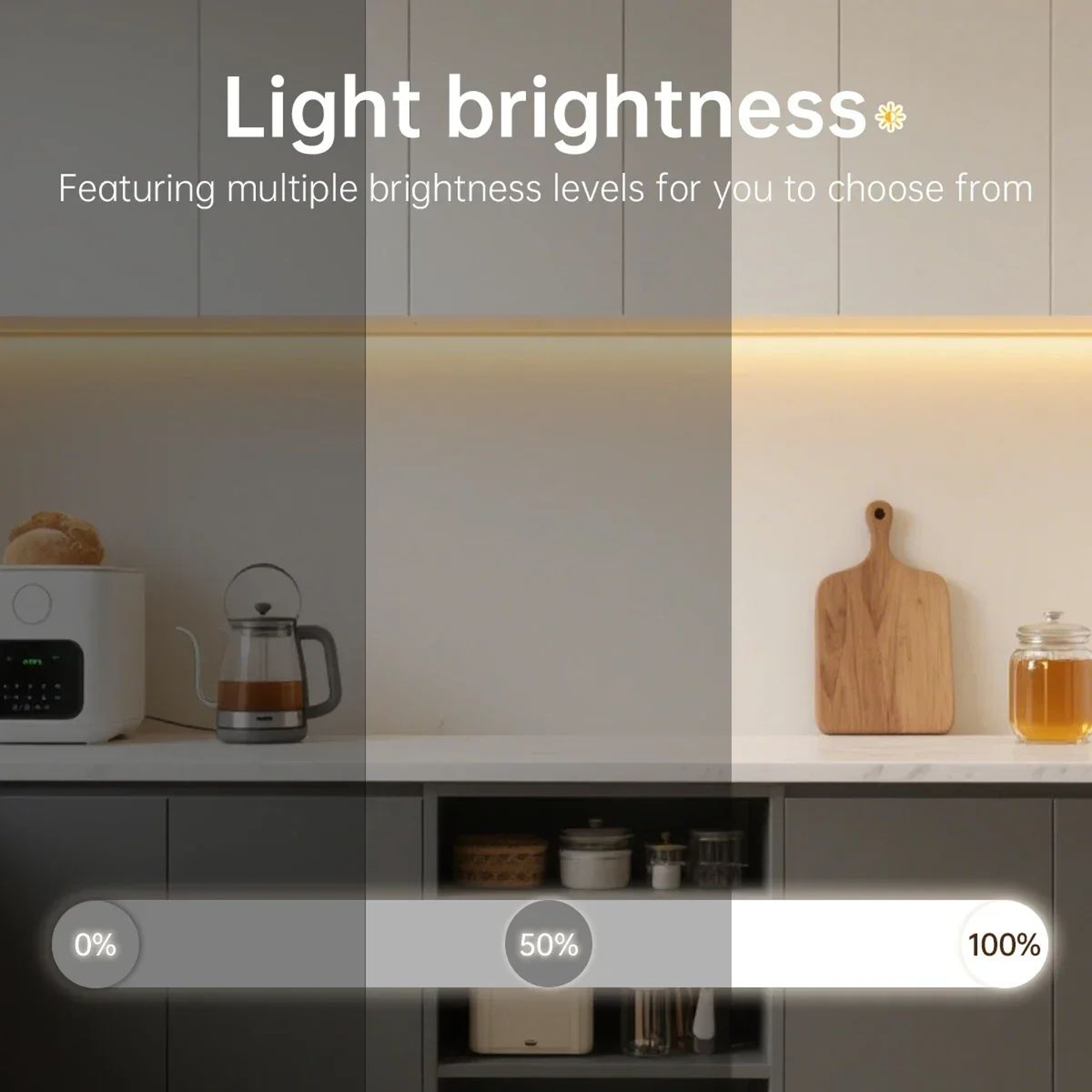 Dimmable COB LED Strip Light With Remote Control 3
