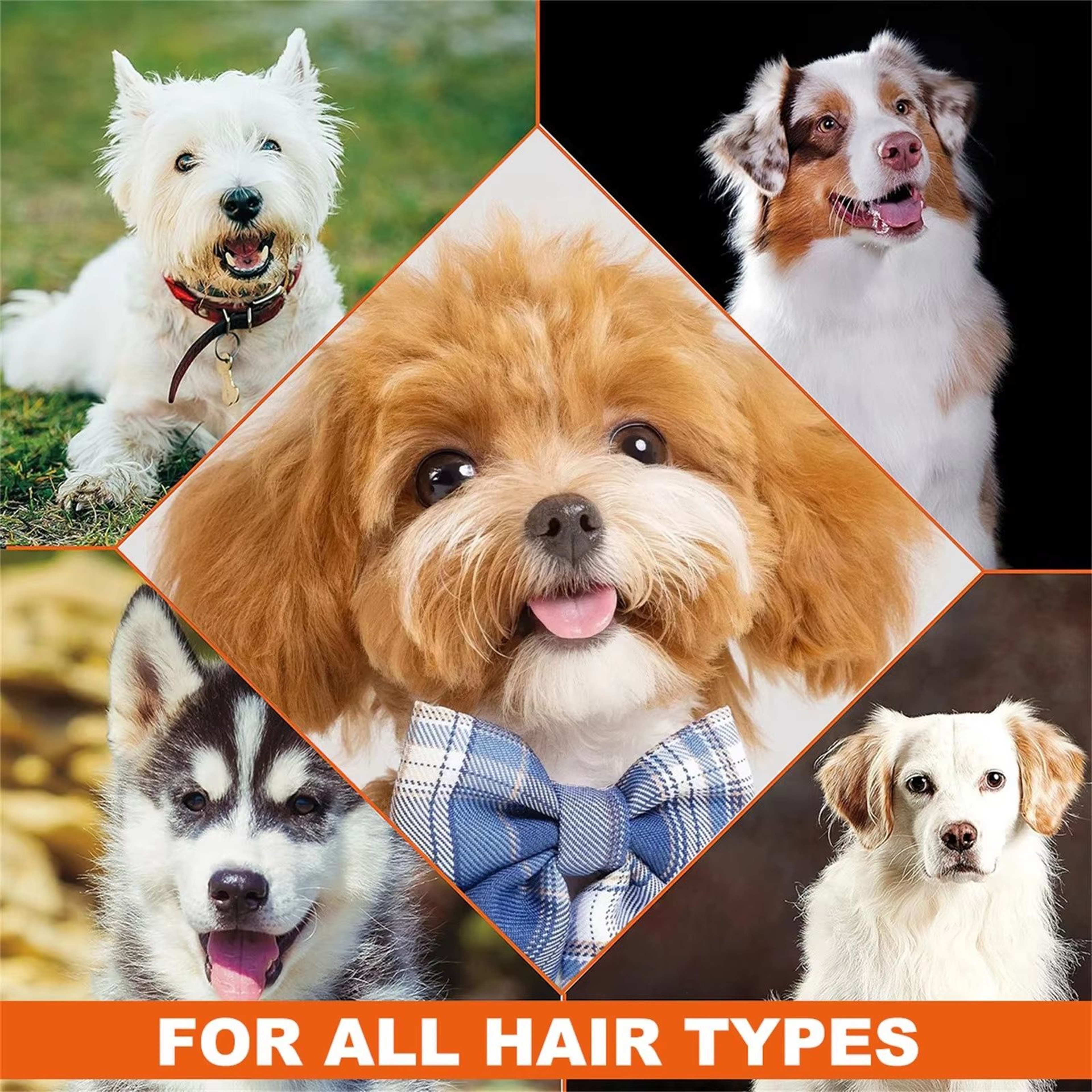 4 In 1 Calming Dog Shampoo And Conditioner With Lavender Chamomile 1014 Fl Oz 5