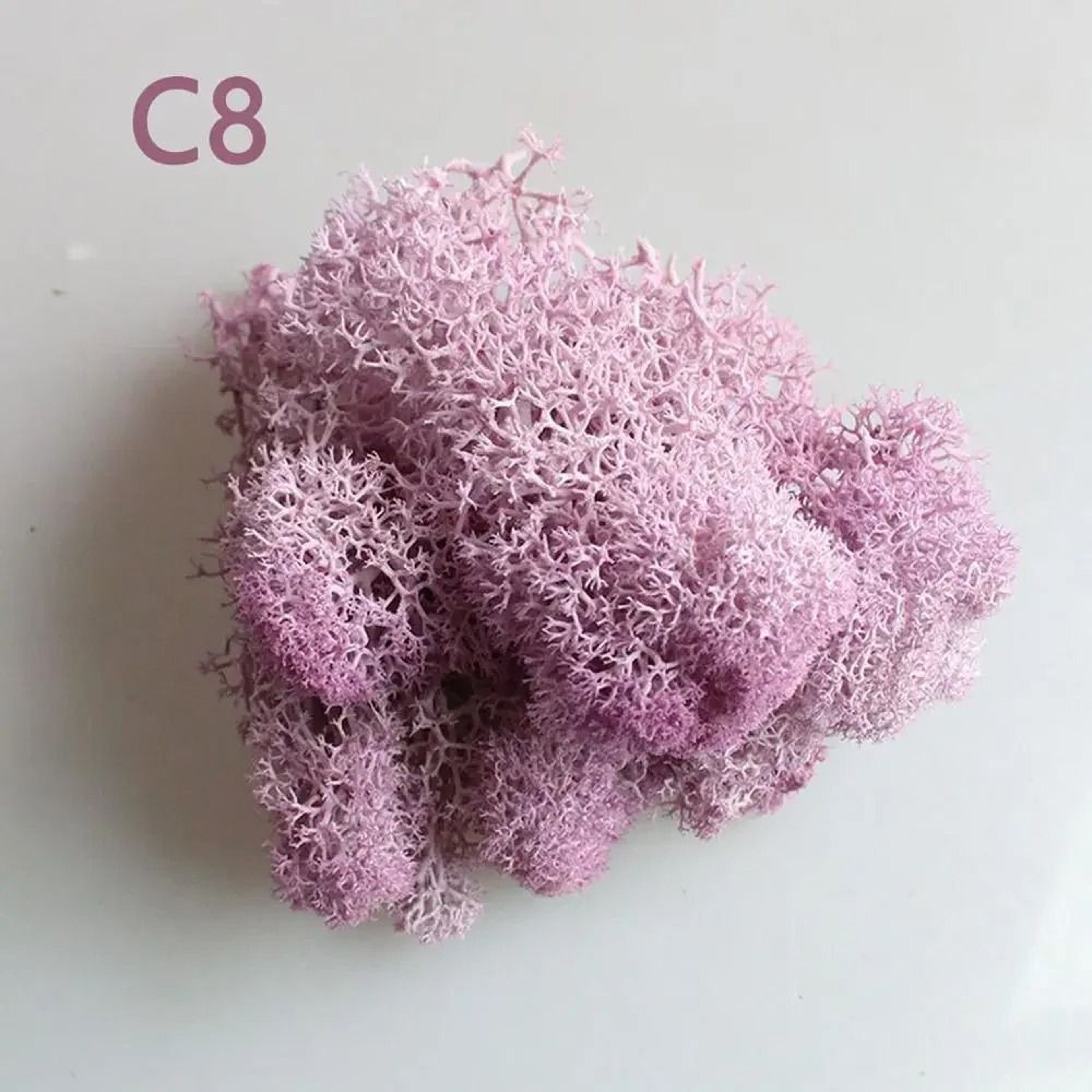 Artificial Moss Wall Decor Eternal Life DIY Micro Landscape Craft Material 14