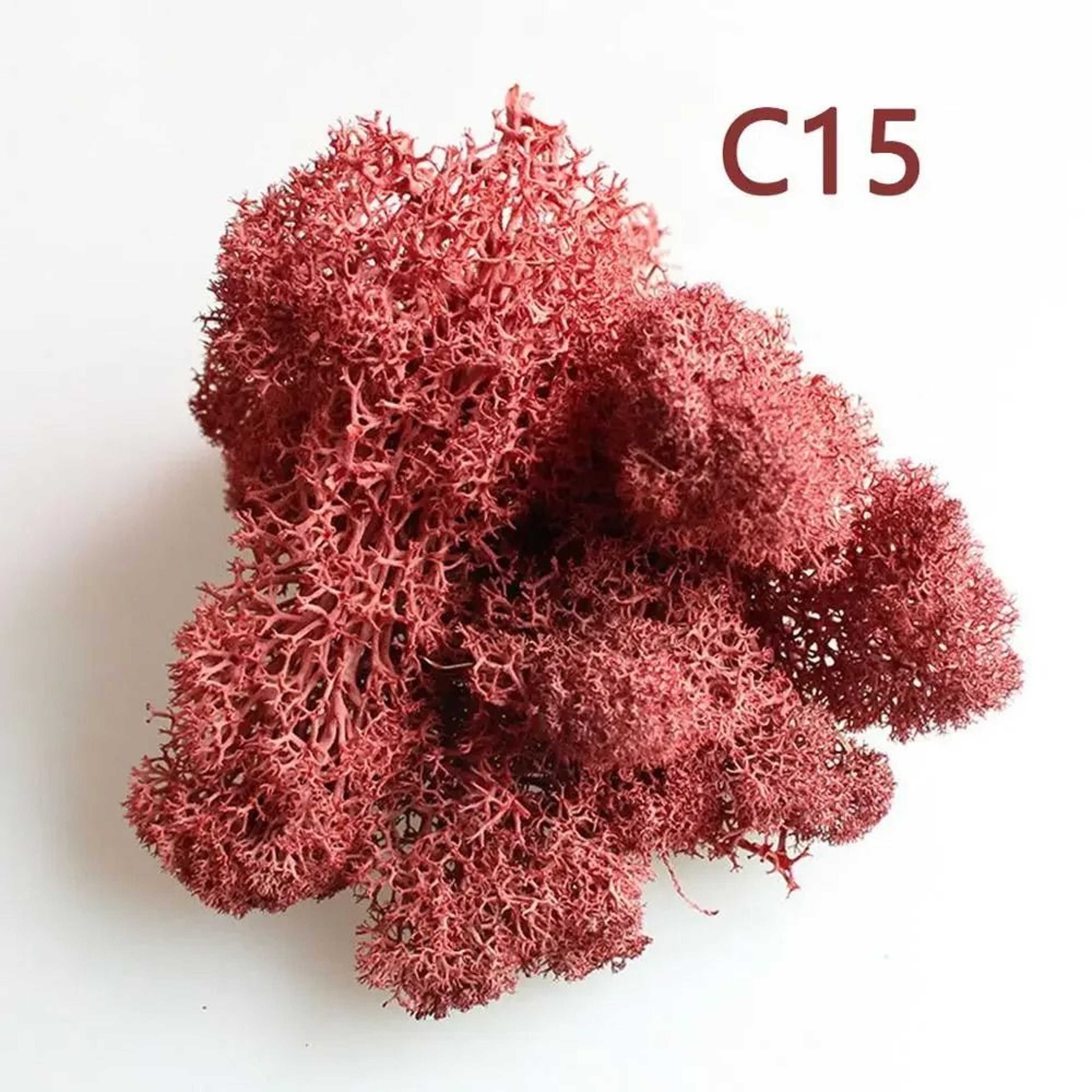 Artificial Moss Wall Decor Eternal Life DIY Micro Landscape Craft Material 19