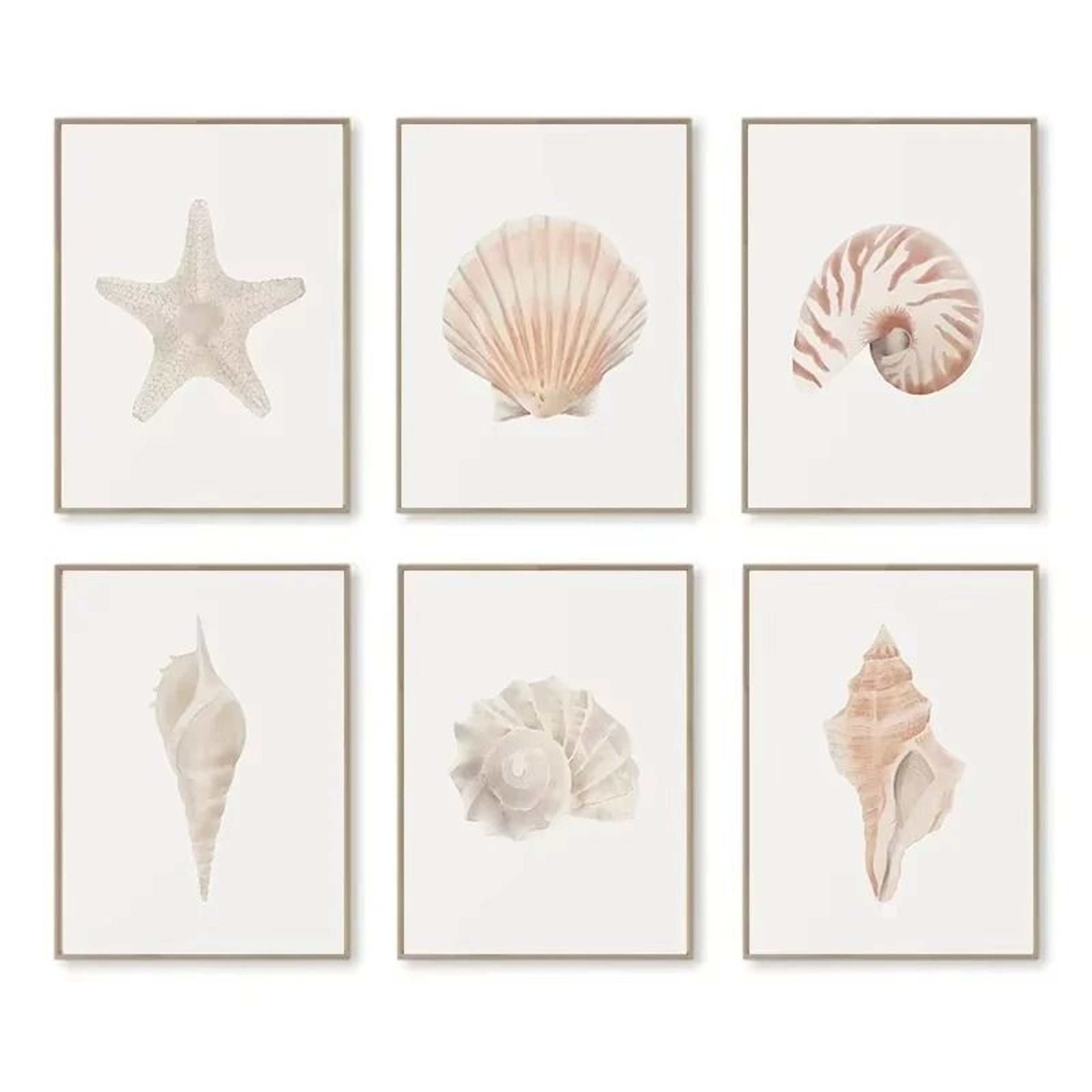 Watercolor Sea Shell Wall Art Canvas Set Starfish Coastal Prints For Living Room Decor 9