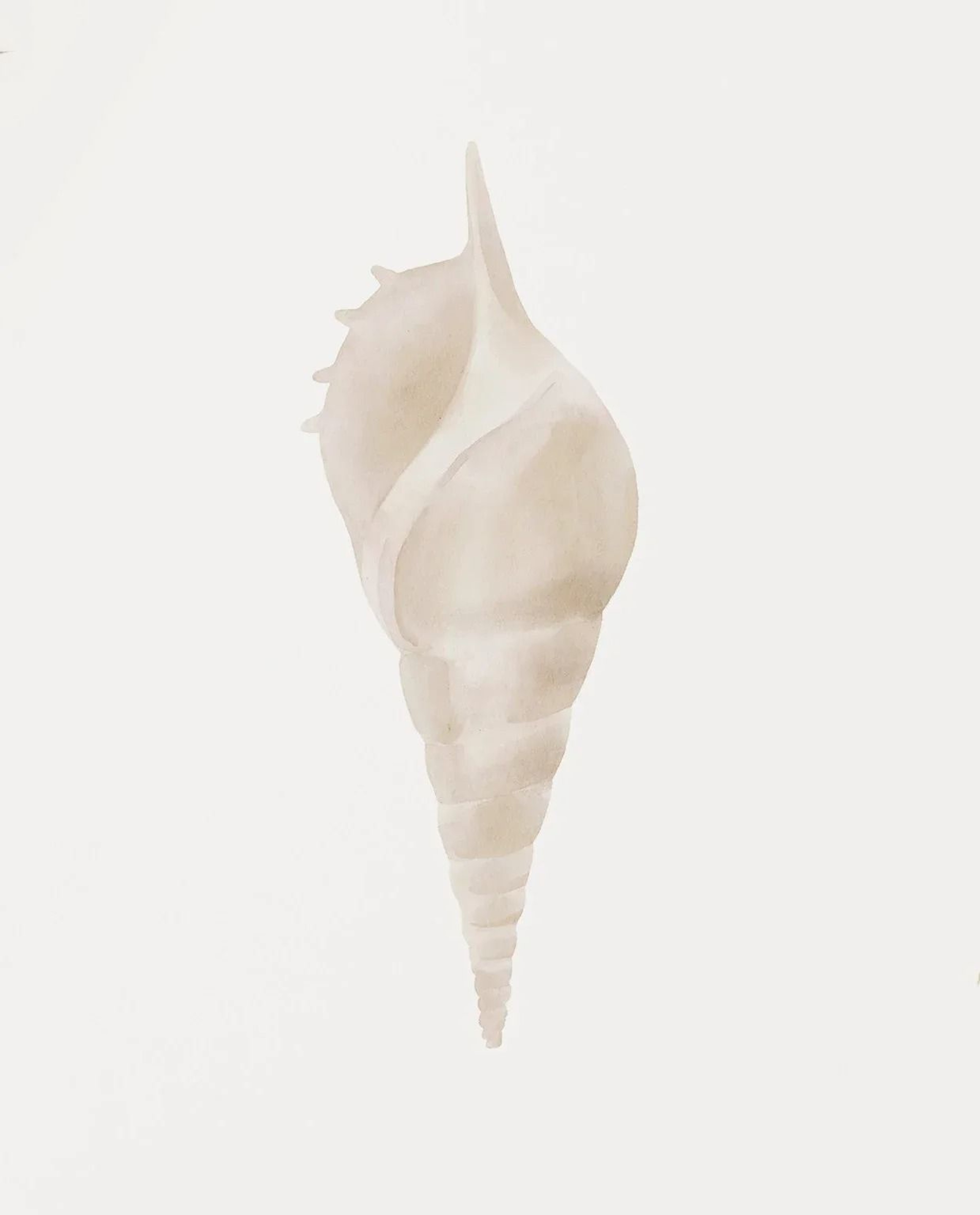 Watercolor Sea Shell Wall Art Canvas Set Starfish Coastal Prints For Living Room Decor 7