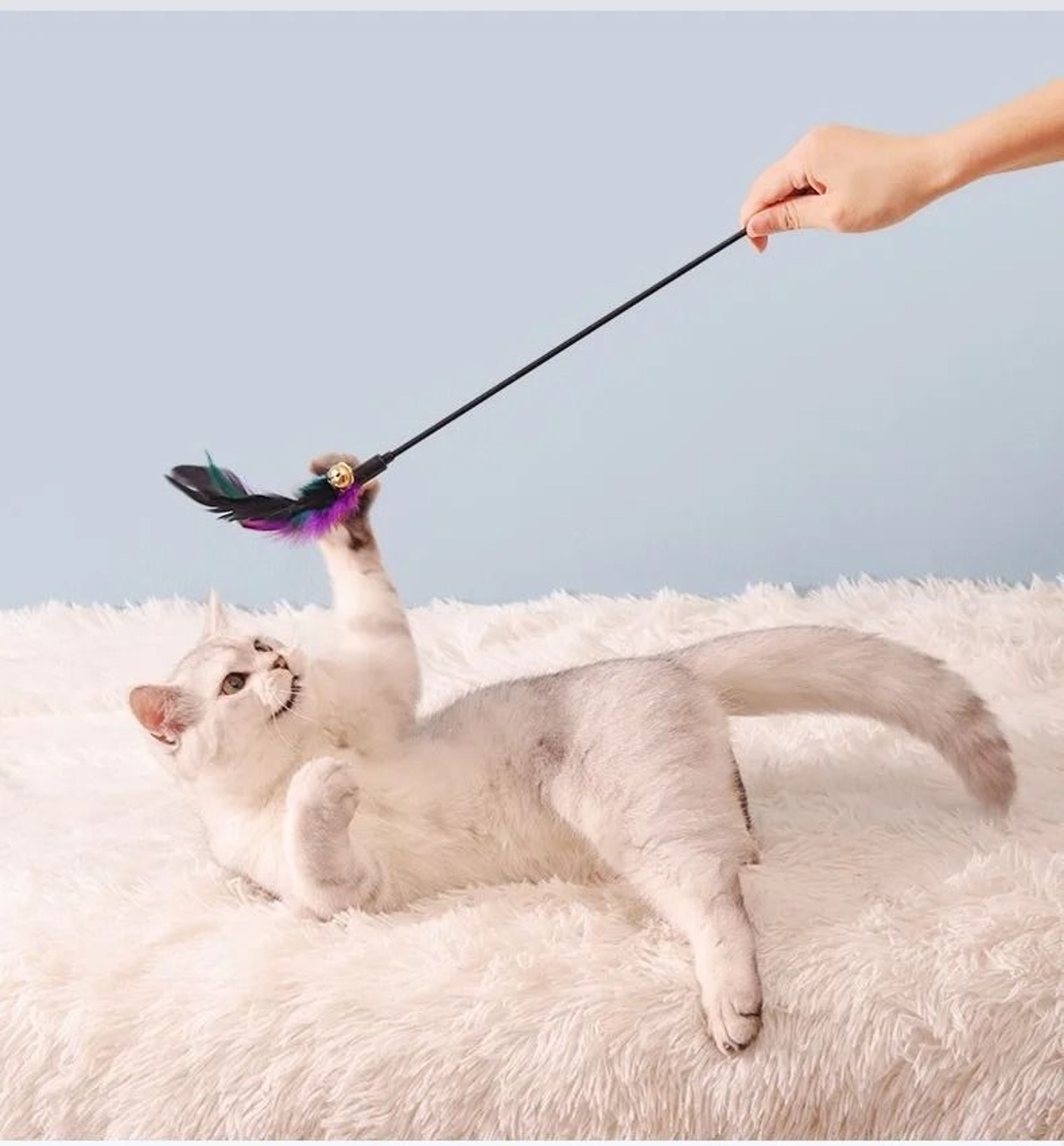 5Piece Interactive Feather Cat Wand Toy Set With Bells 3