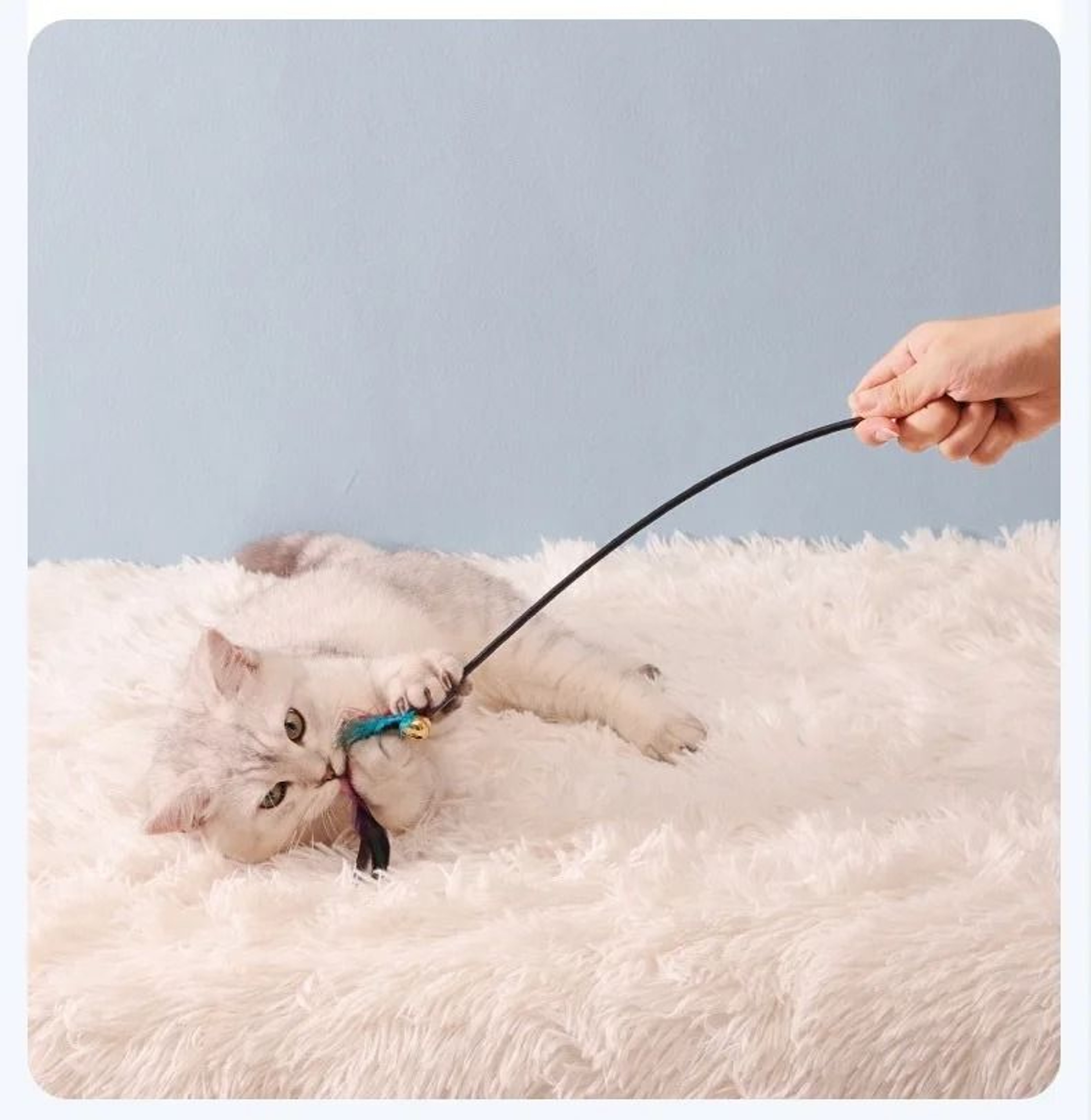 5Piece Interactive Feather Cat Wand Toy Set With Bells 4