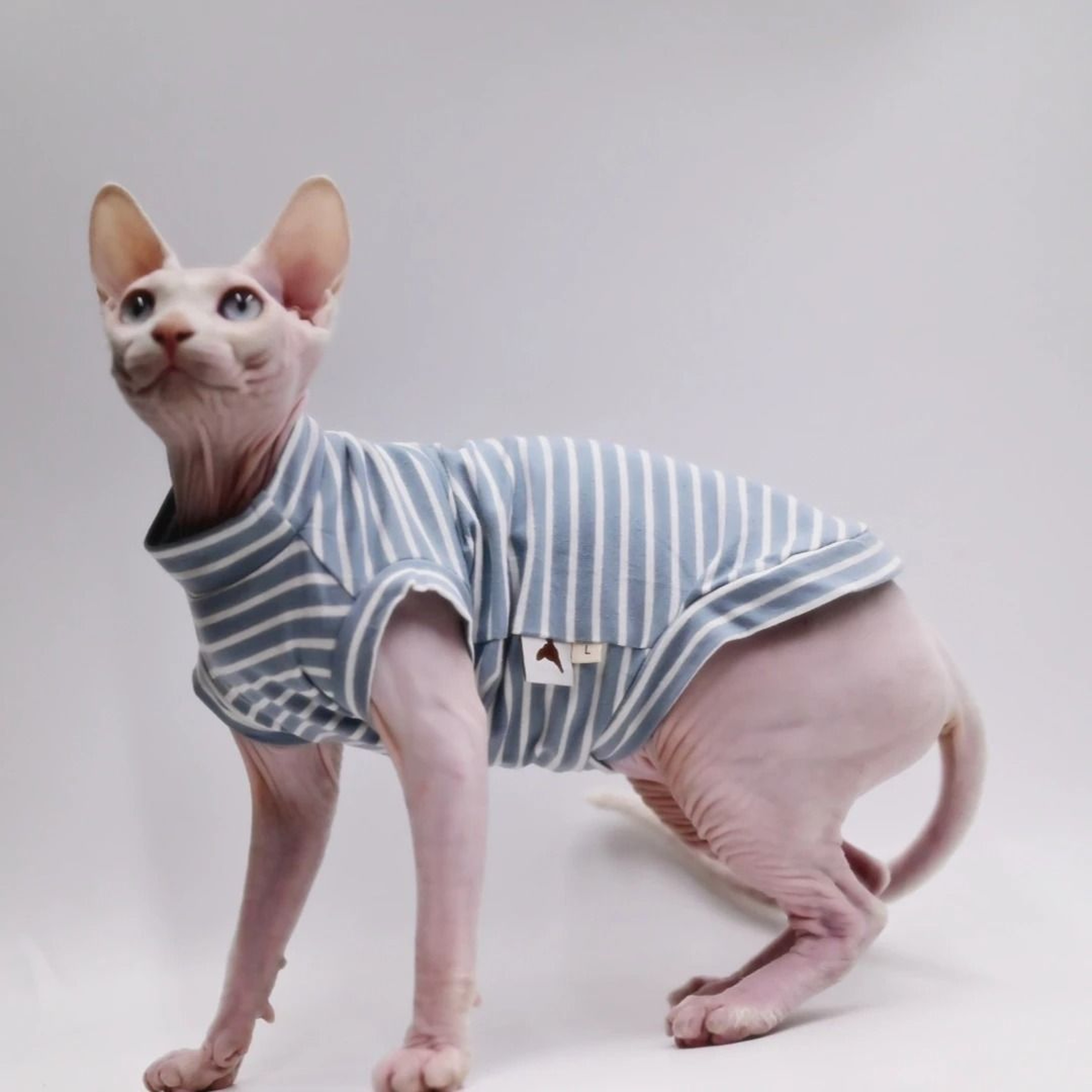 Cooling Cotton Summer Vest For Sphynx  Hairless Cats 3