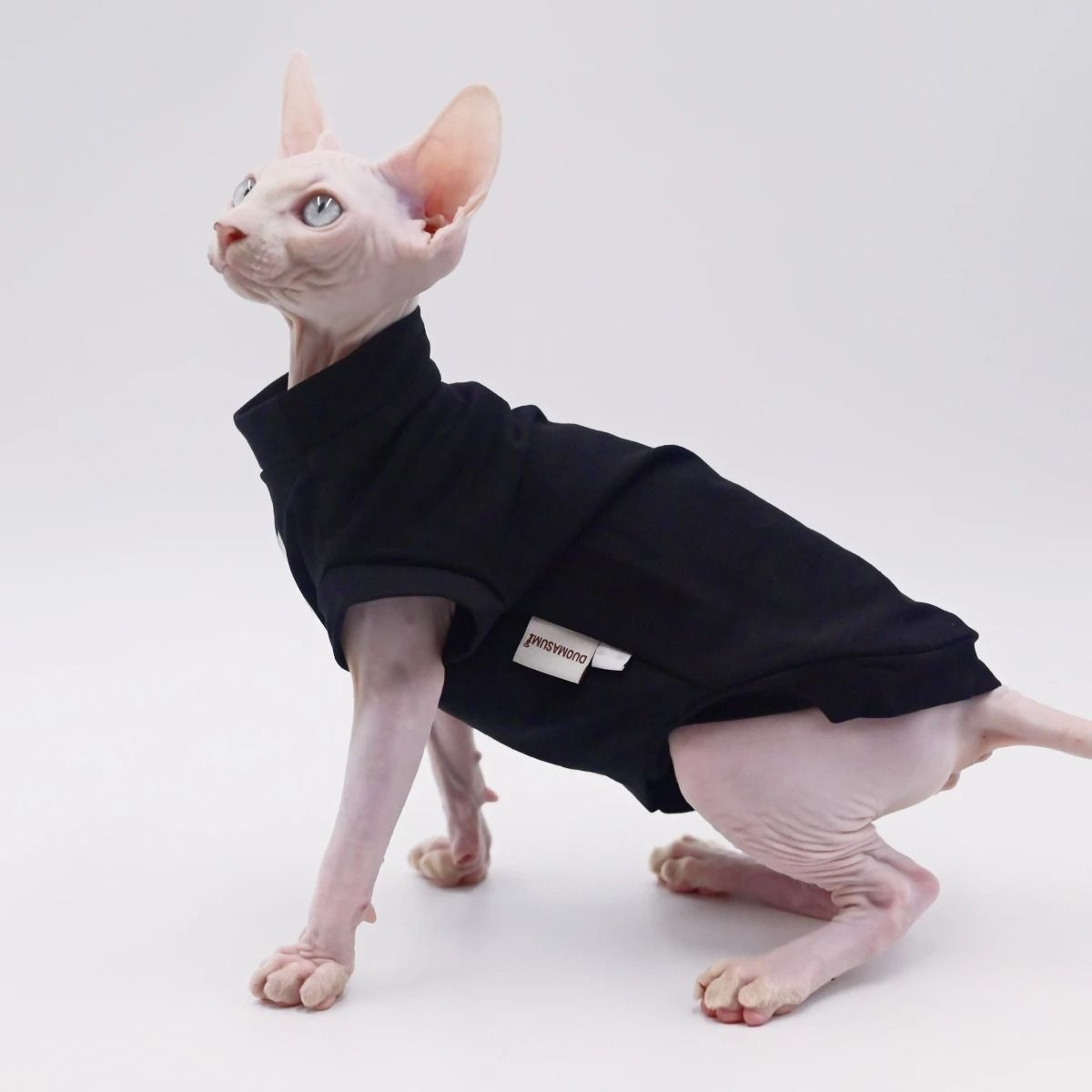 Cooling Cotton Summer Vest For Sphynx  Hairless Cats 13