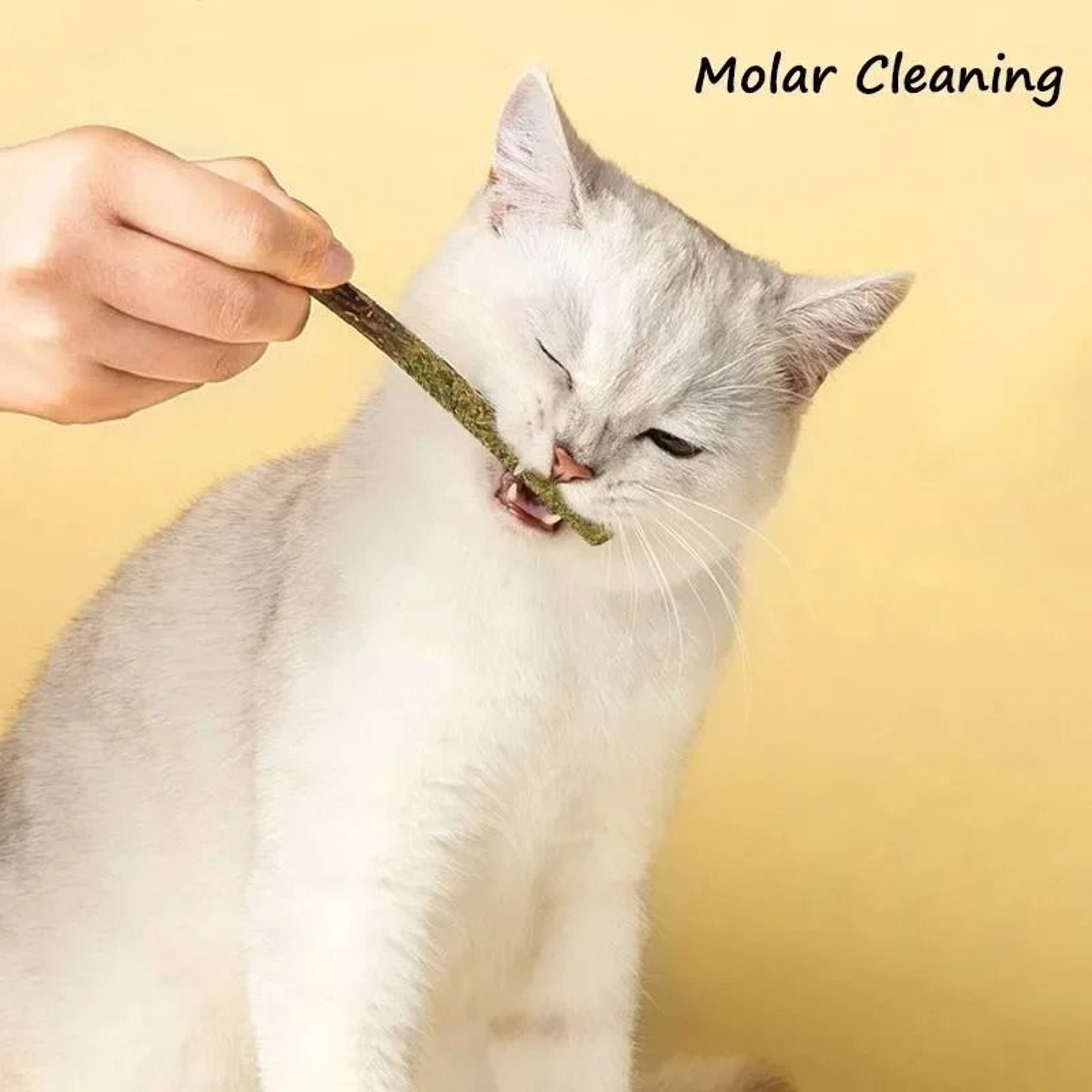 6Piece Natural Silvervine Cat Chew Sticks For Dental Care And Play 2