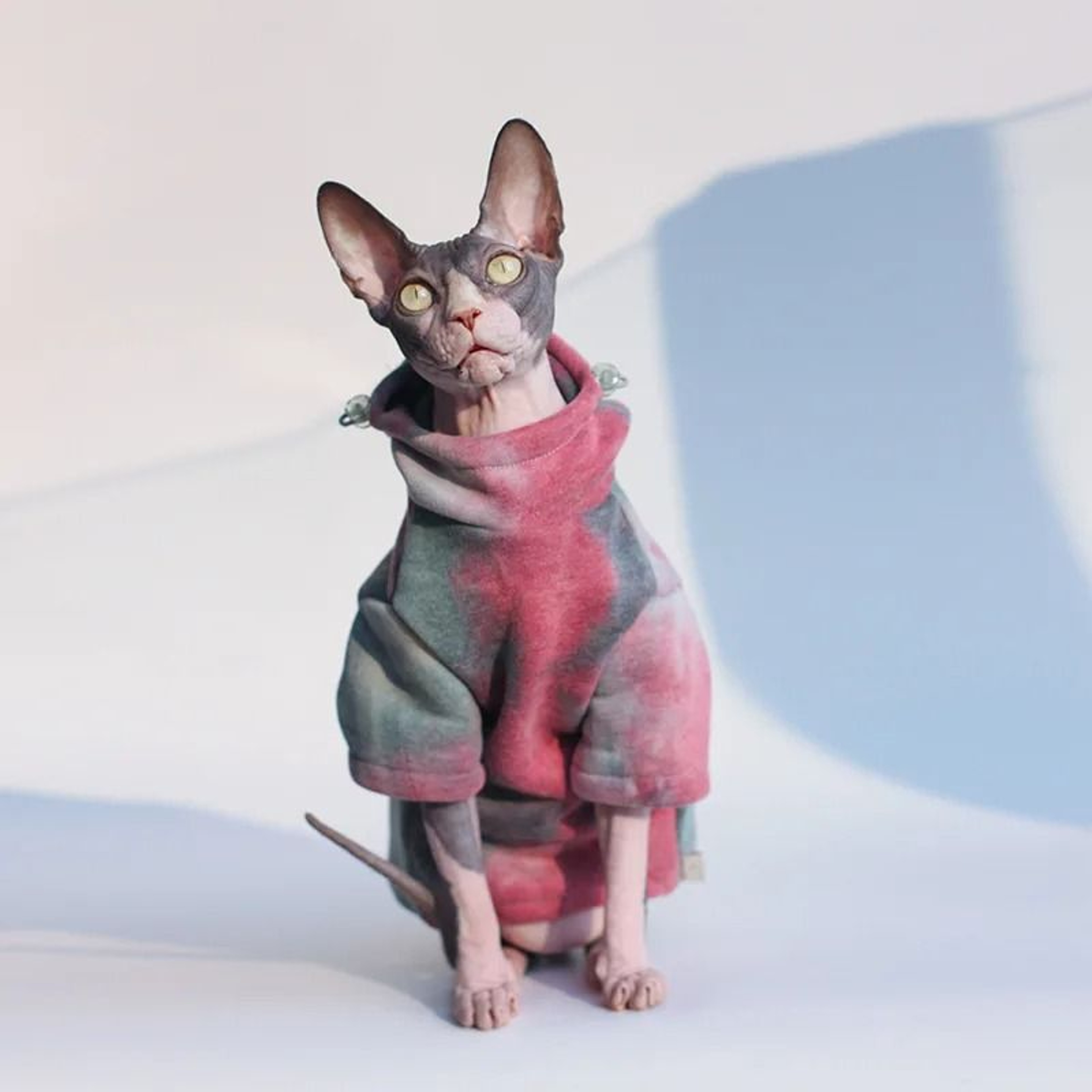 WarmGuard FleeceLined Sphynx Cat Hoodie For Hairless Cats  Small Pets 1