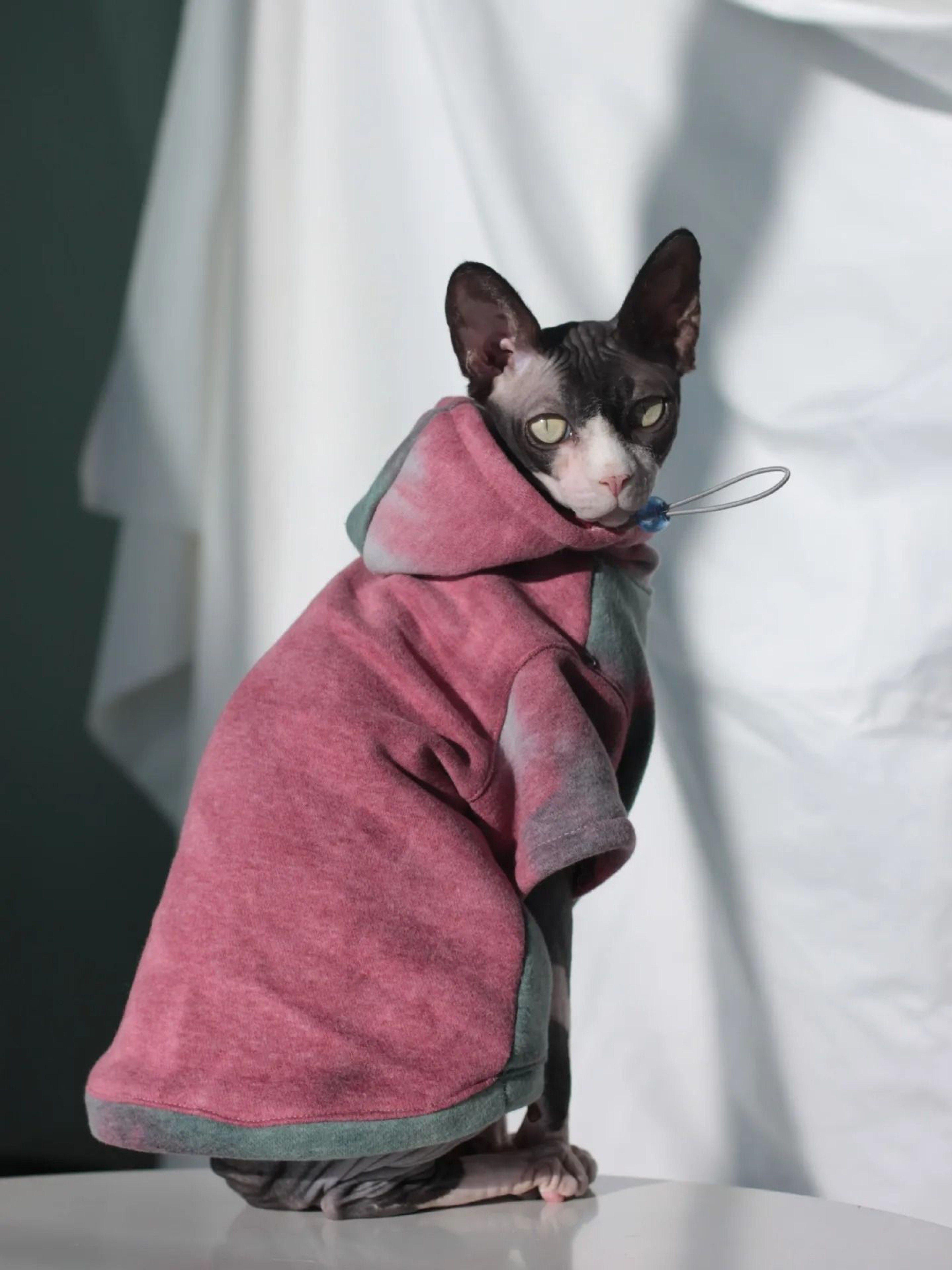 WarmGuard FleeceLined Sphynx Cat Hoodie For Hairless Cats  Small Pets 3