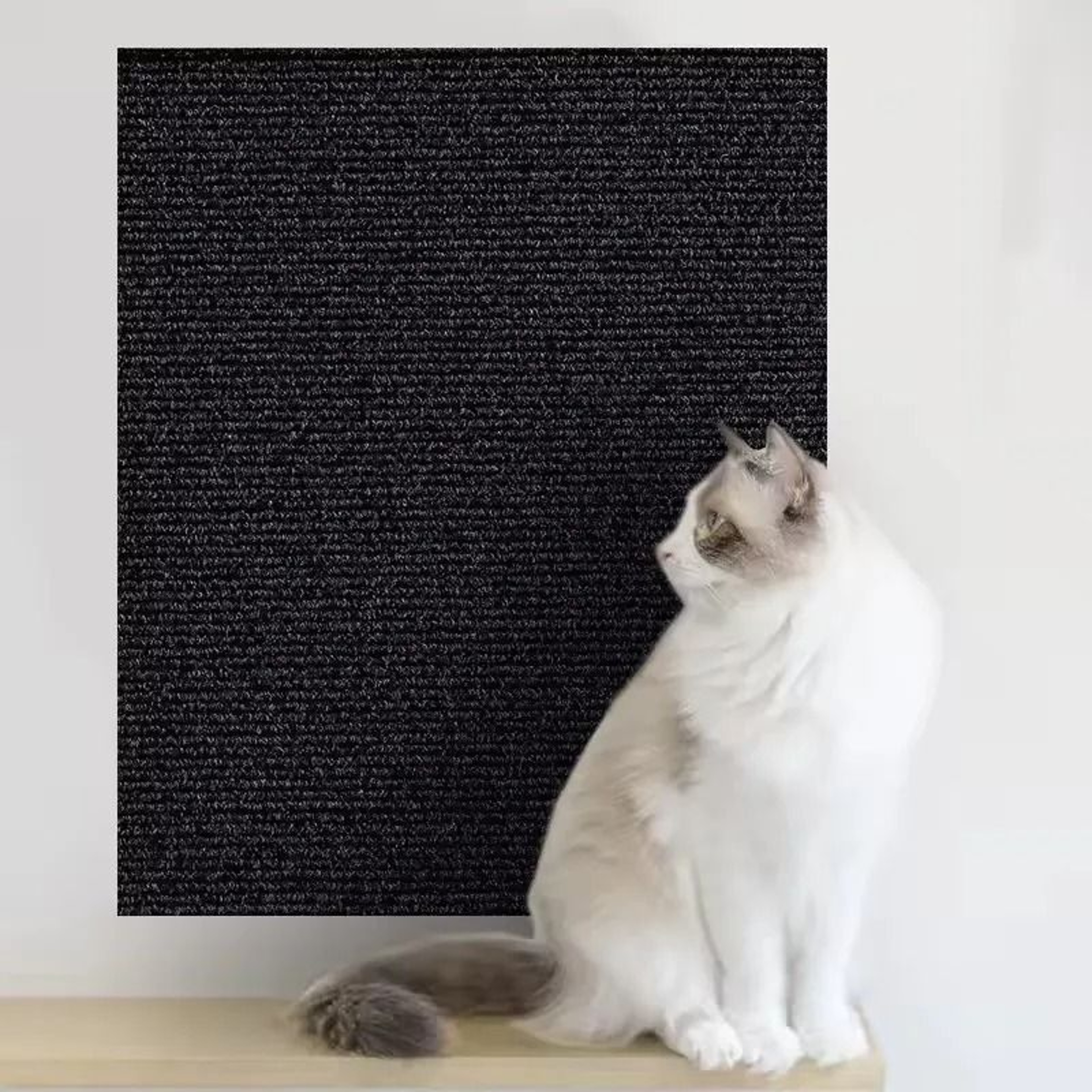 ScratchShield SelfAdhesive Cat Scratch Protector Carpet For Sofas Walls  Furniture 6