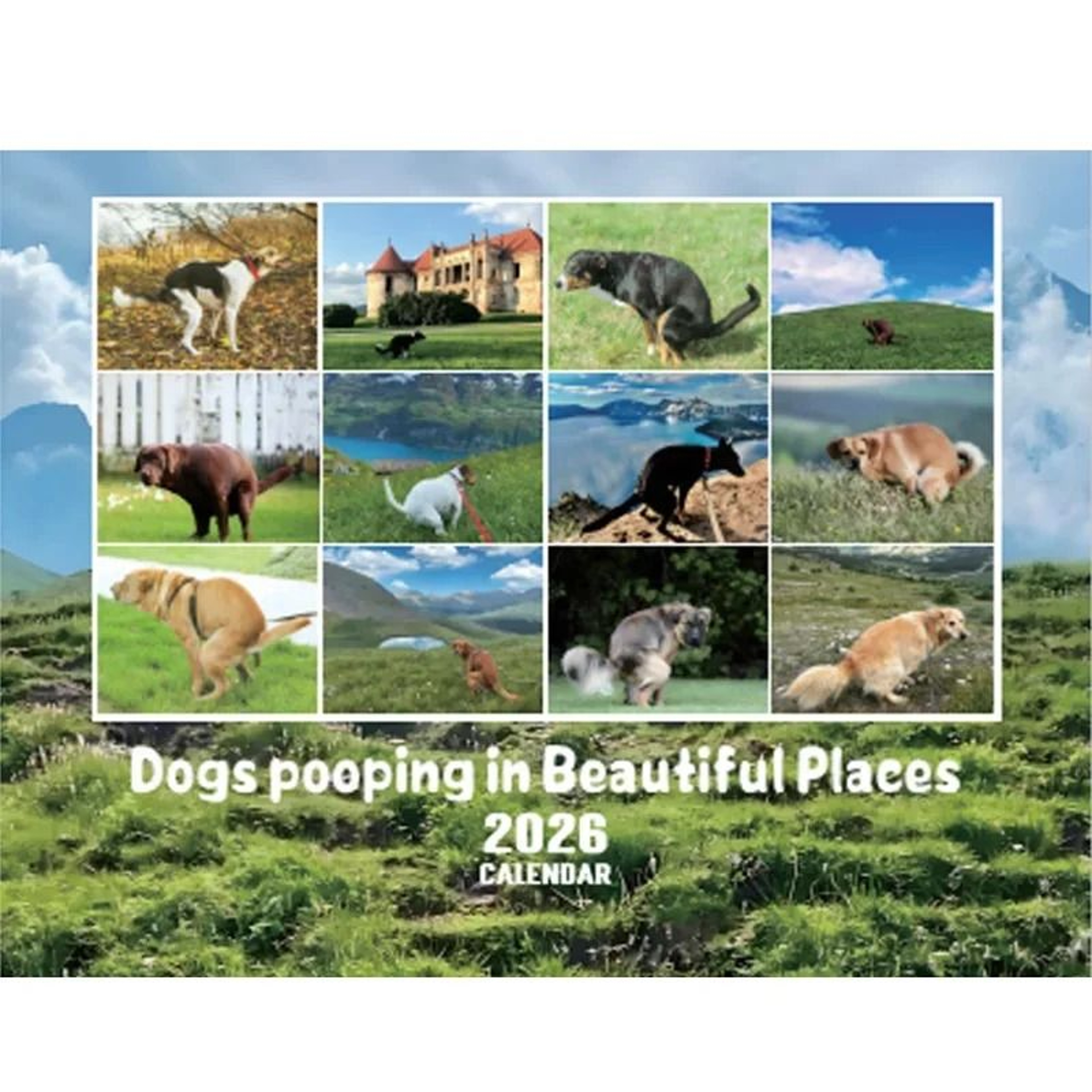 2026 Funny Dog Wall Calendar With Monthly Planner Pages 4