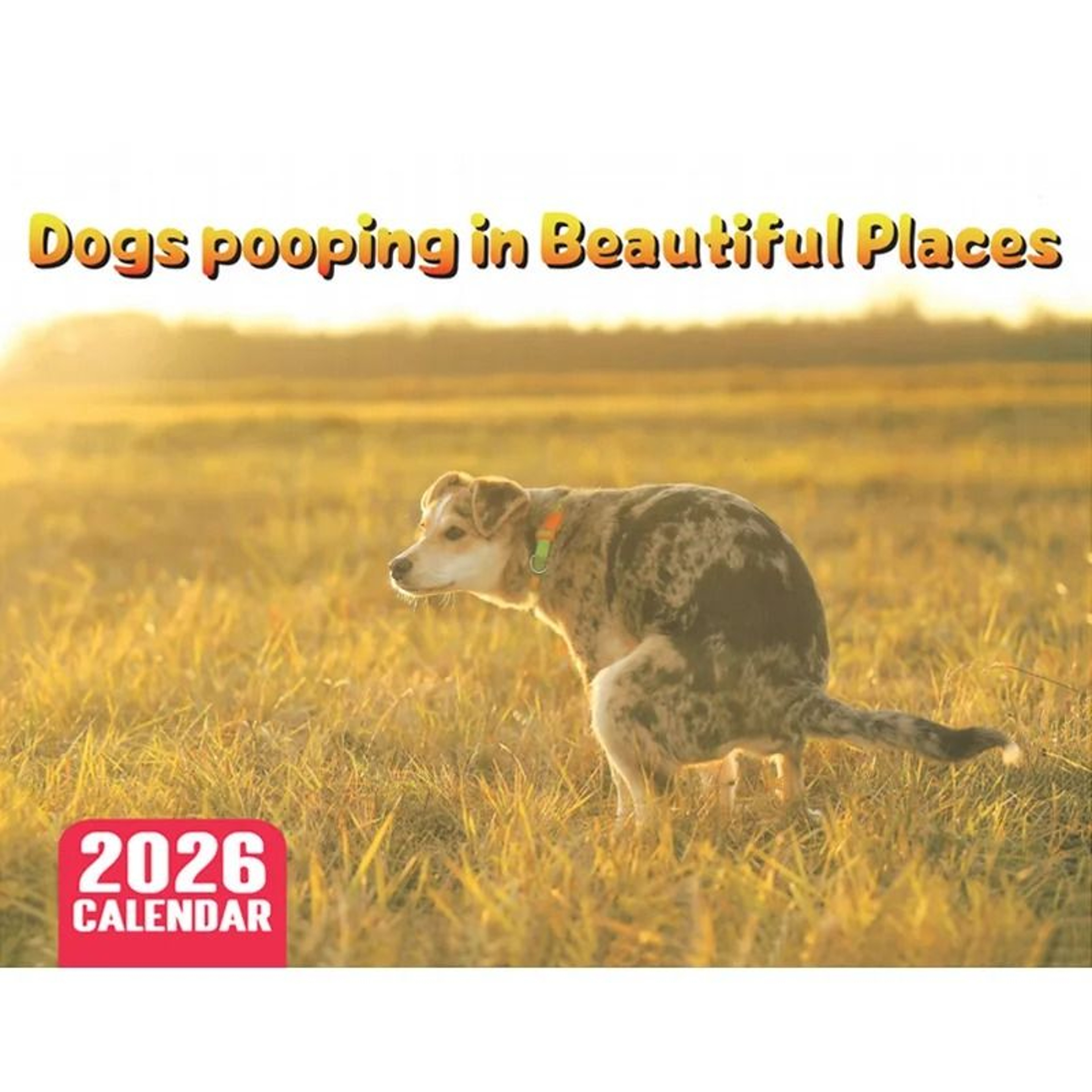 2026 Funny Dog Wall Calendar With Monthly Planner Pages 7