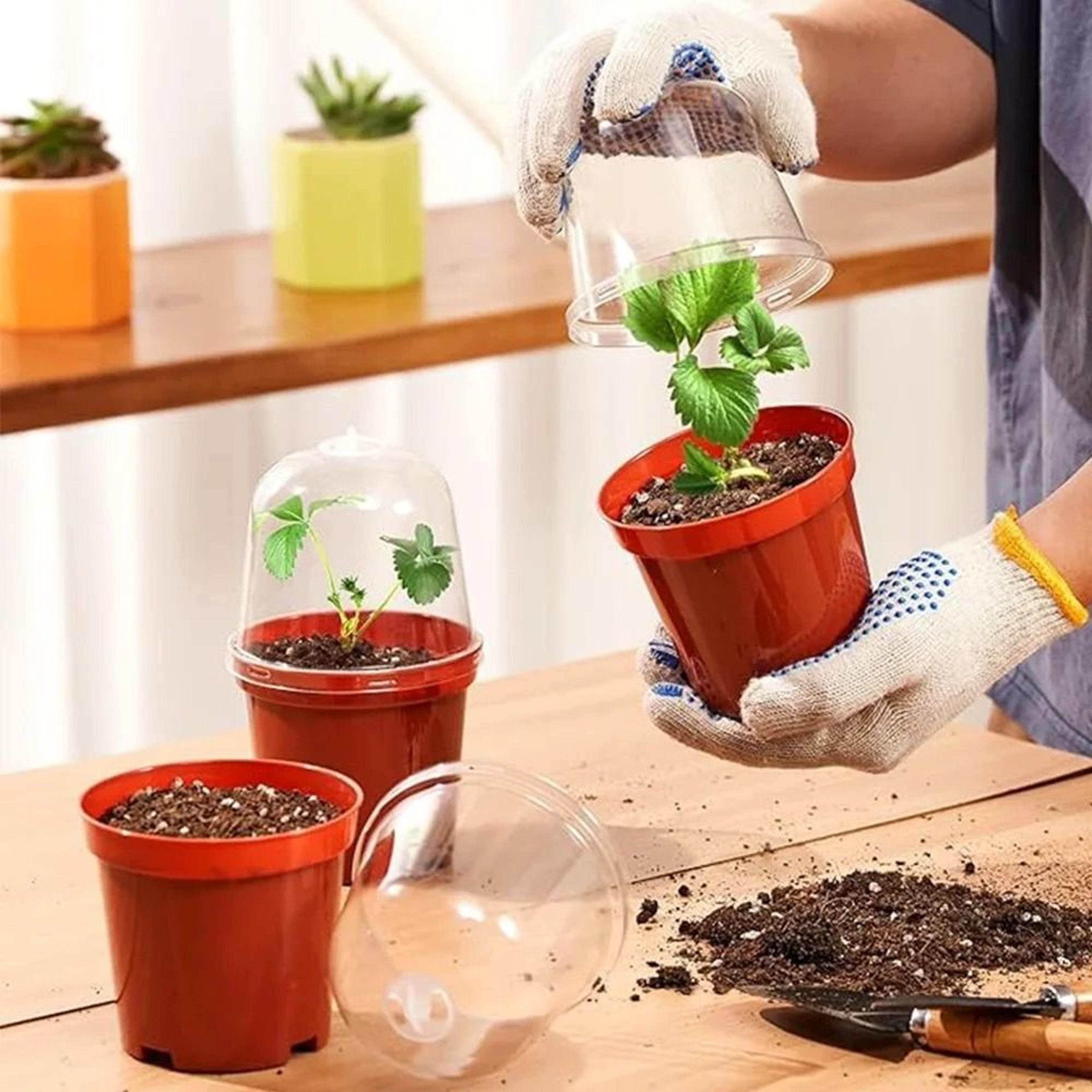 18 Piece Seed Starter Pots With Clear Humidity Domes 1