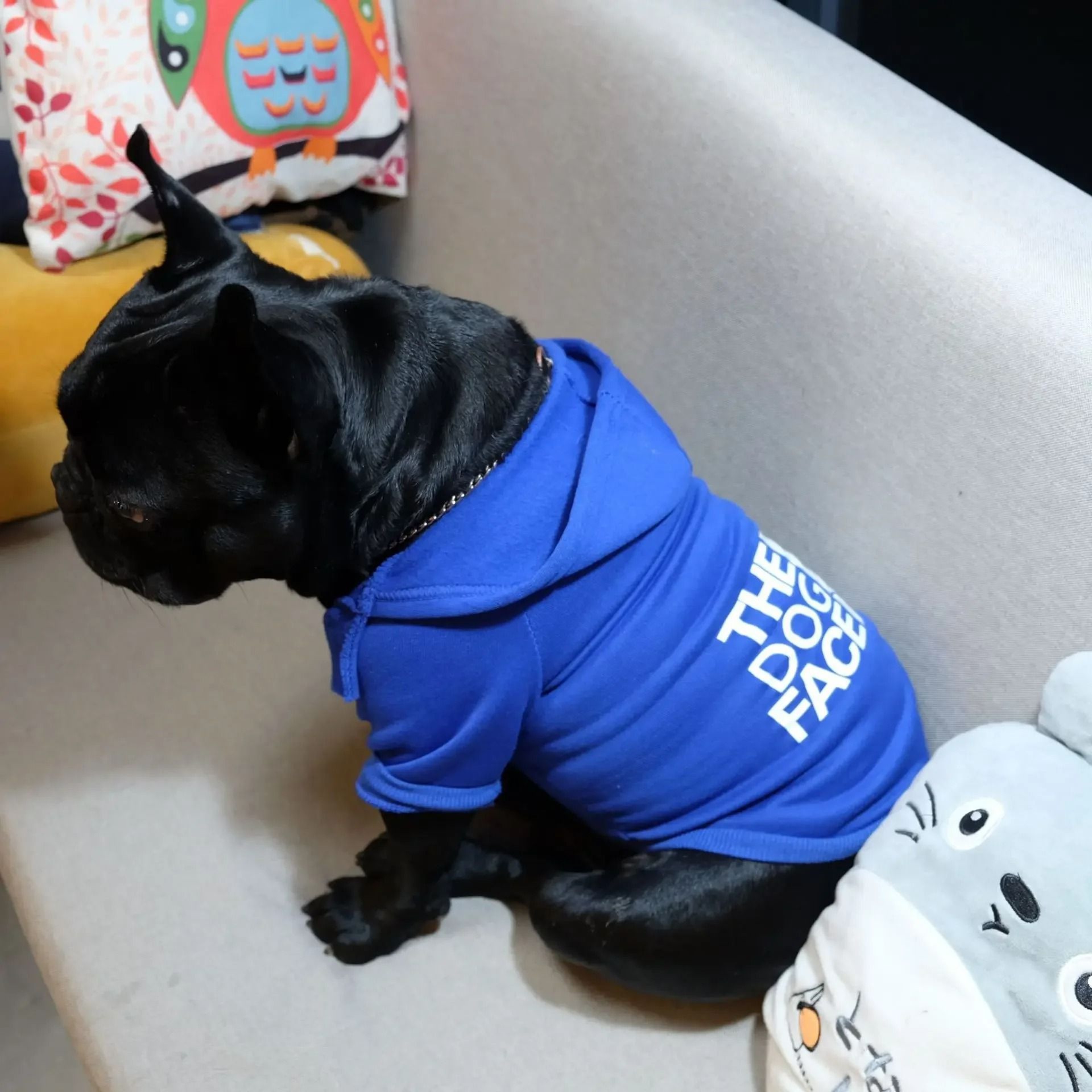 Pet Dog Hoodie For Autumn And Winter Large Dog Clothes With Text Pattern And Comfortable Fit 2