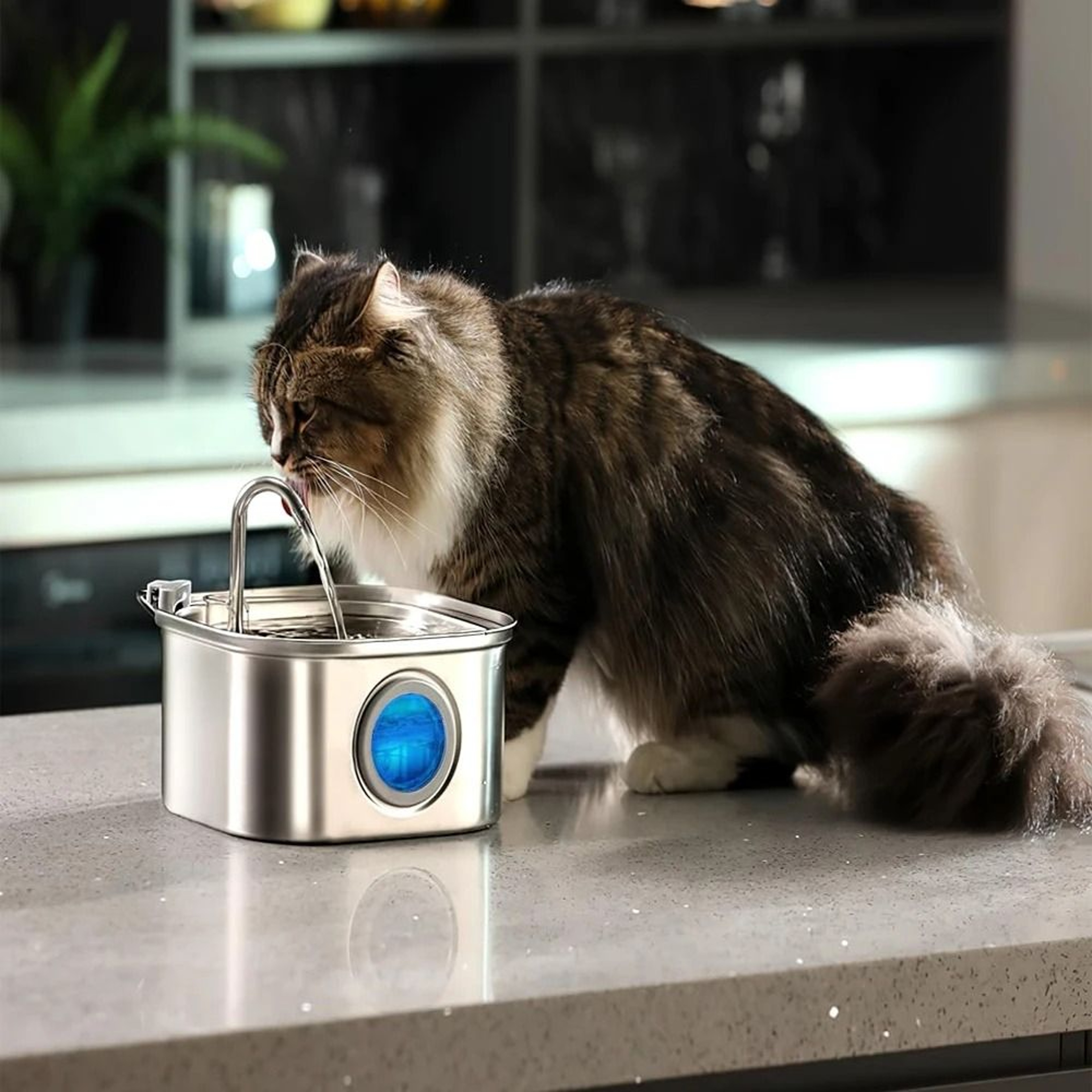 Stainless Steel Pet Water Feeder Auto Cat Fountain Smart Dog Water Dispenser 2
