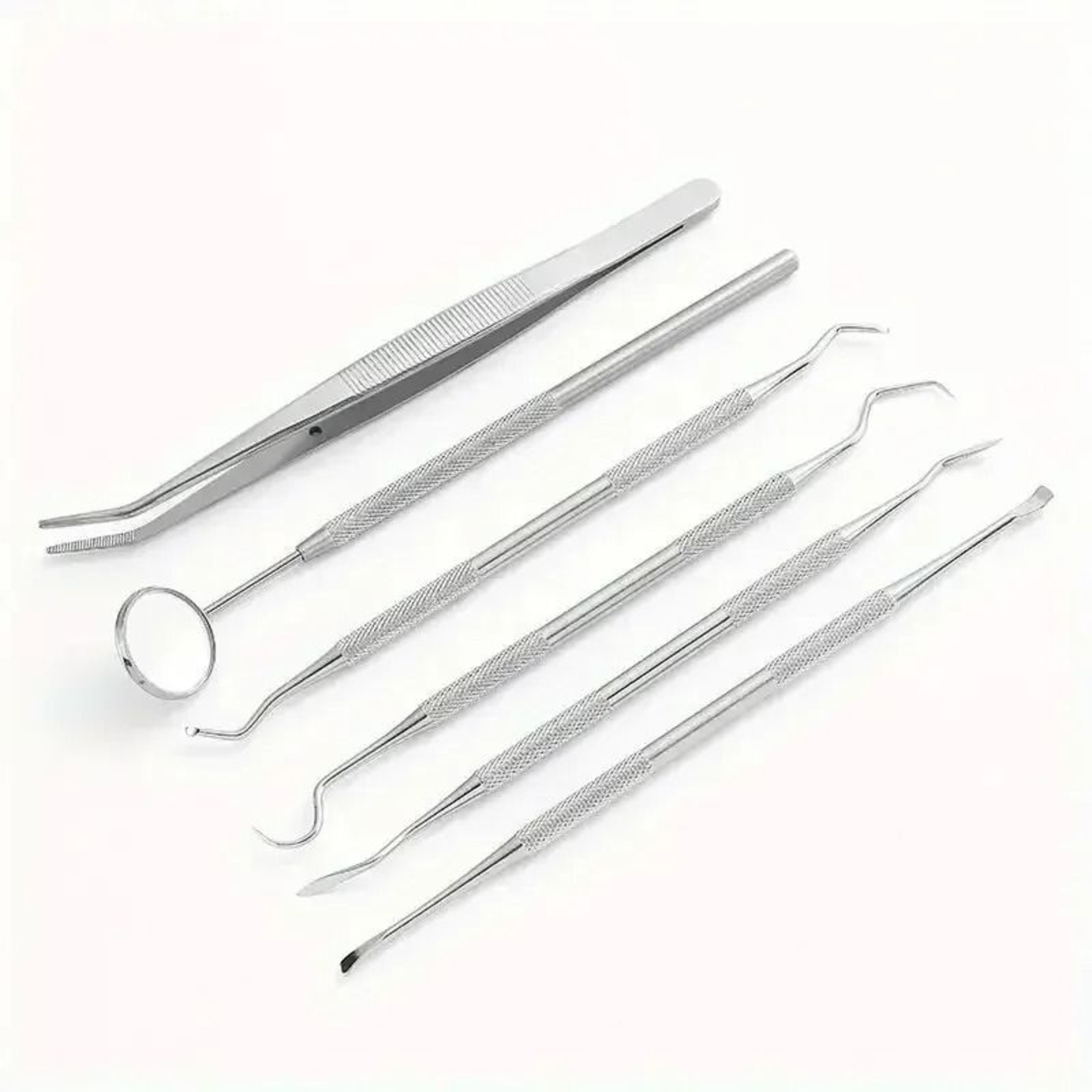 Stainless Steel Dentist Oral Care Kit 6