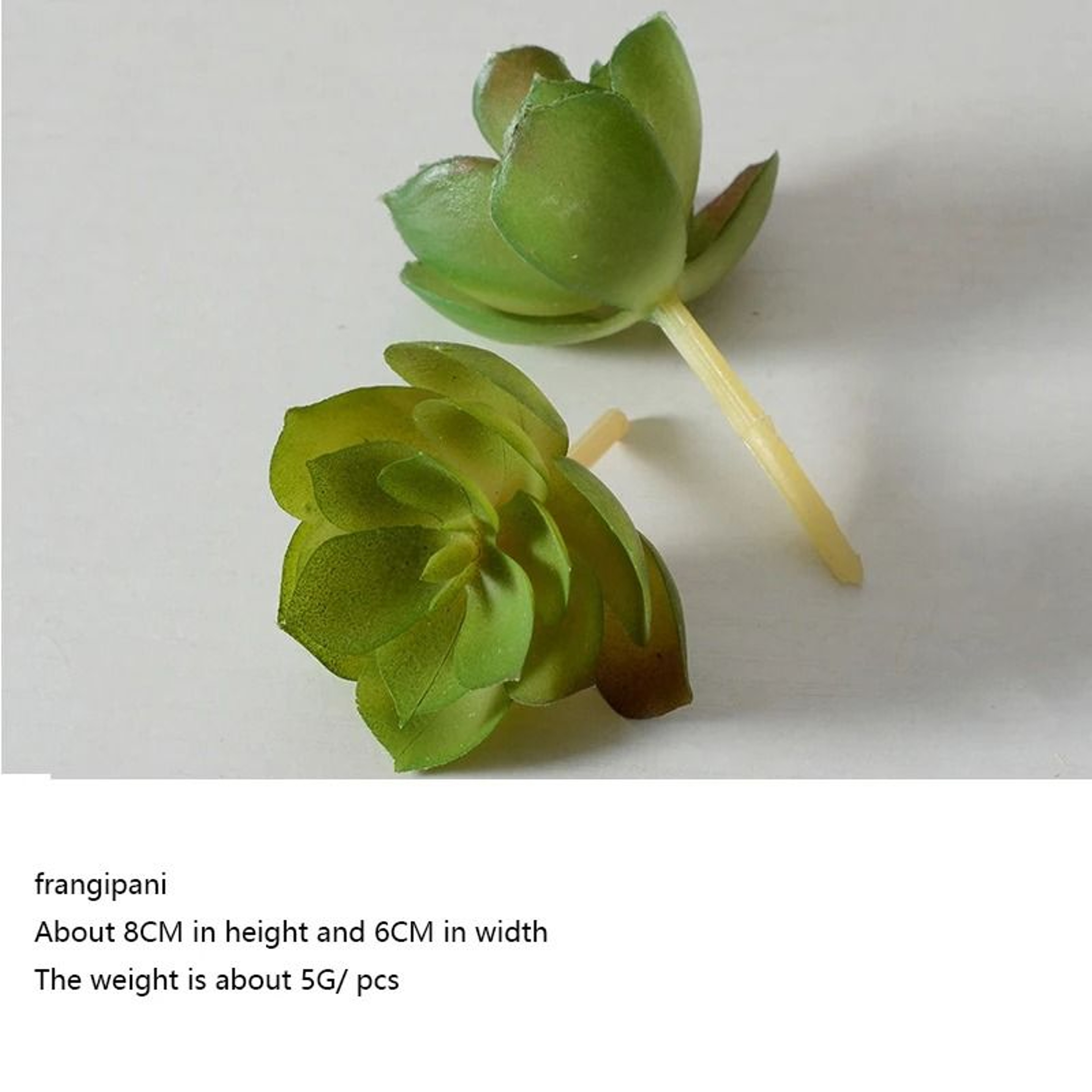 12Piece Green PVC Succulent Set  HighPerformance Faux Plant Collection For Home Garden  Small Bonsa 12