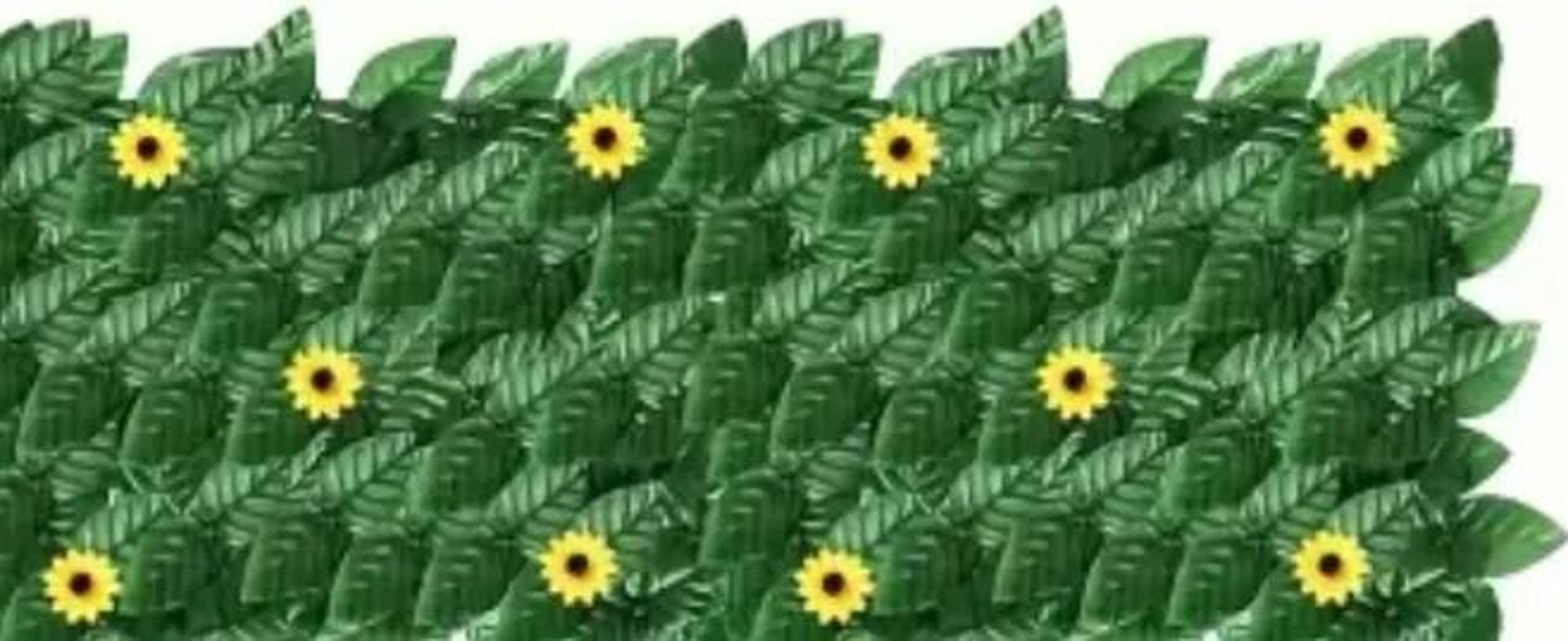 SunKissed Ivy Privacy Fence Screen  1m X 3m Sunflower  Faux Grass Wall Panel For Outdoor Balcony  G 6