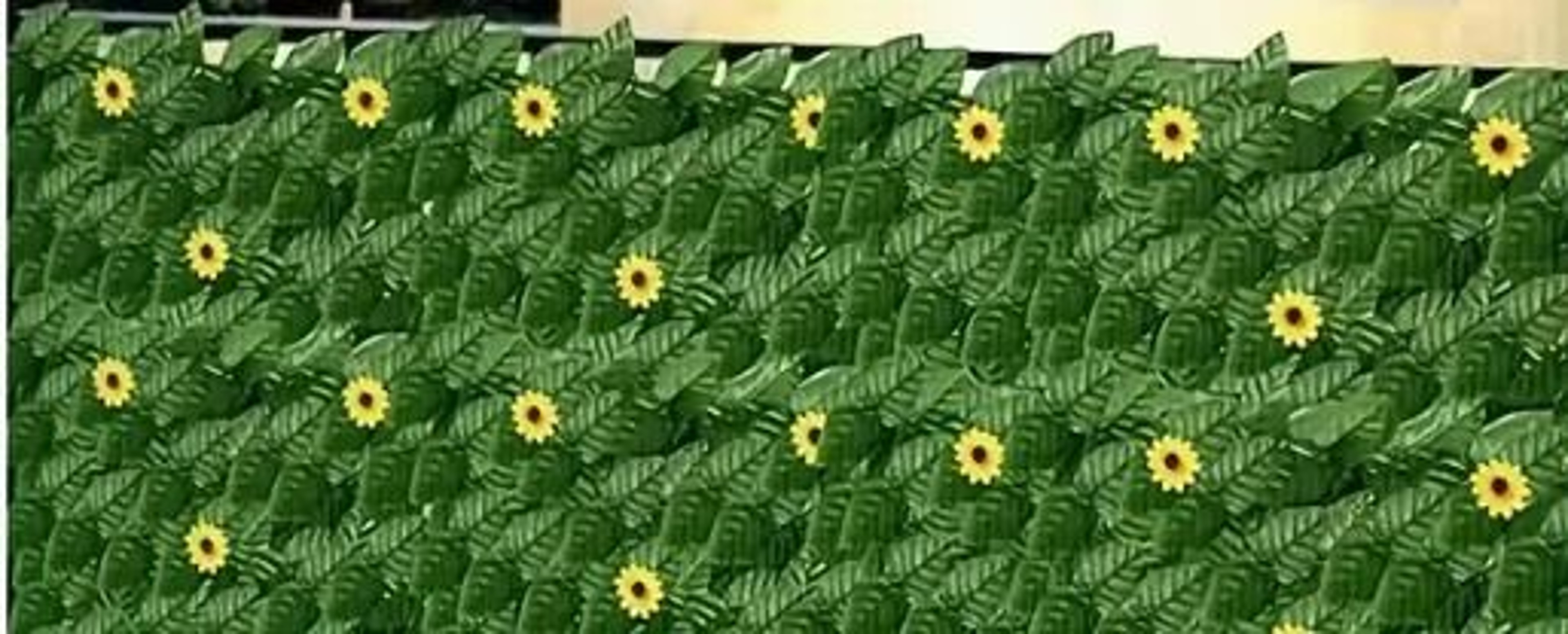 SunKissed Ivy Privacy Fence Screen  1m X 3m Sunflower  Faux Grass Wall Panel For Outdoor Balcony  G 8