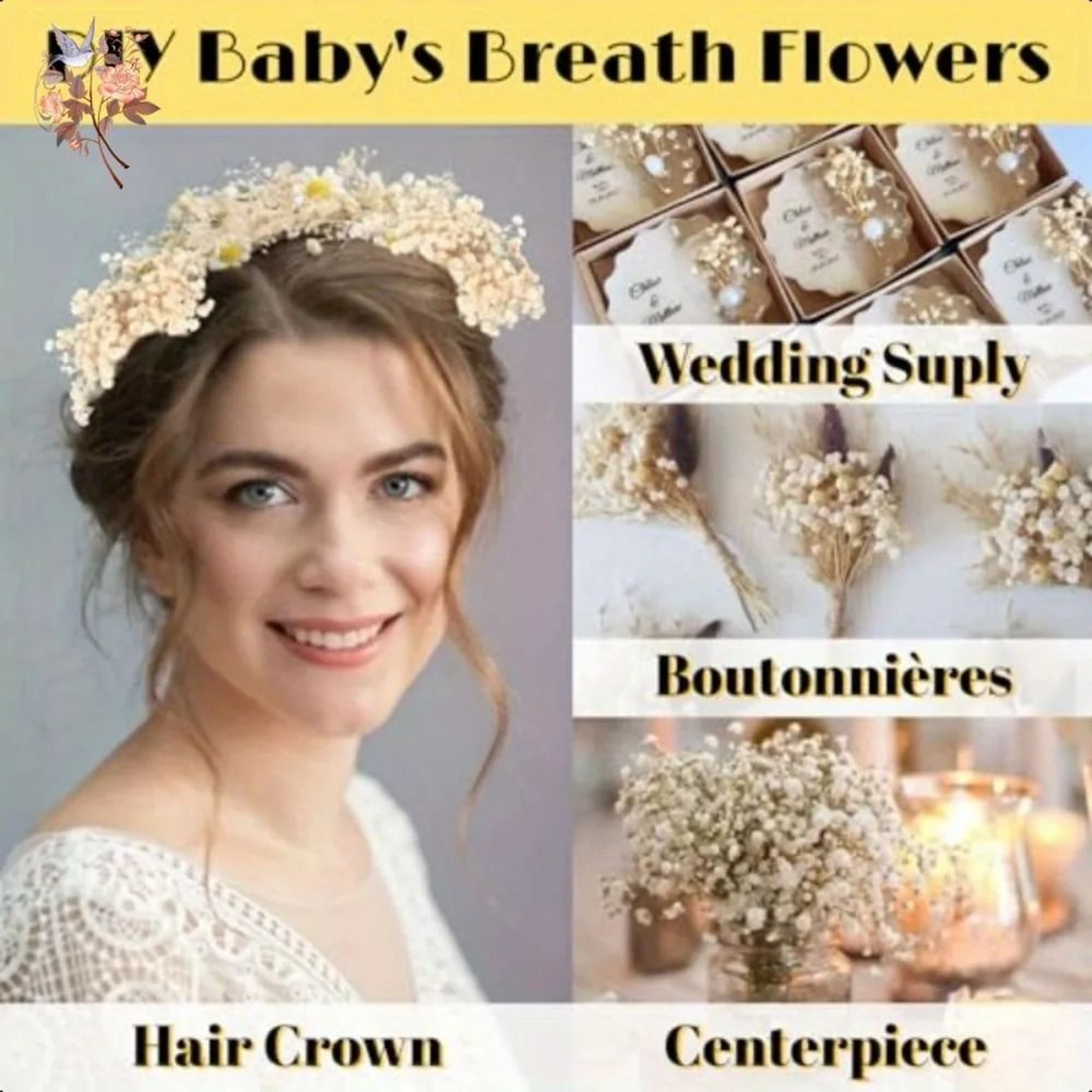 100Pcs Dried Babys Breath Flowers  Real Gypsophila For Resin Crafts DIY Wedding  Home Decor 5