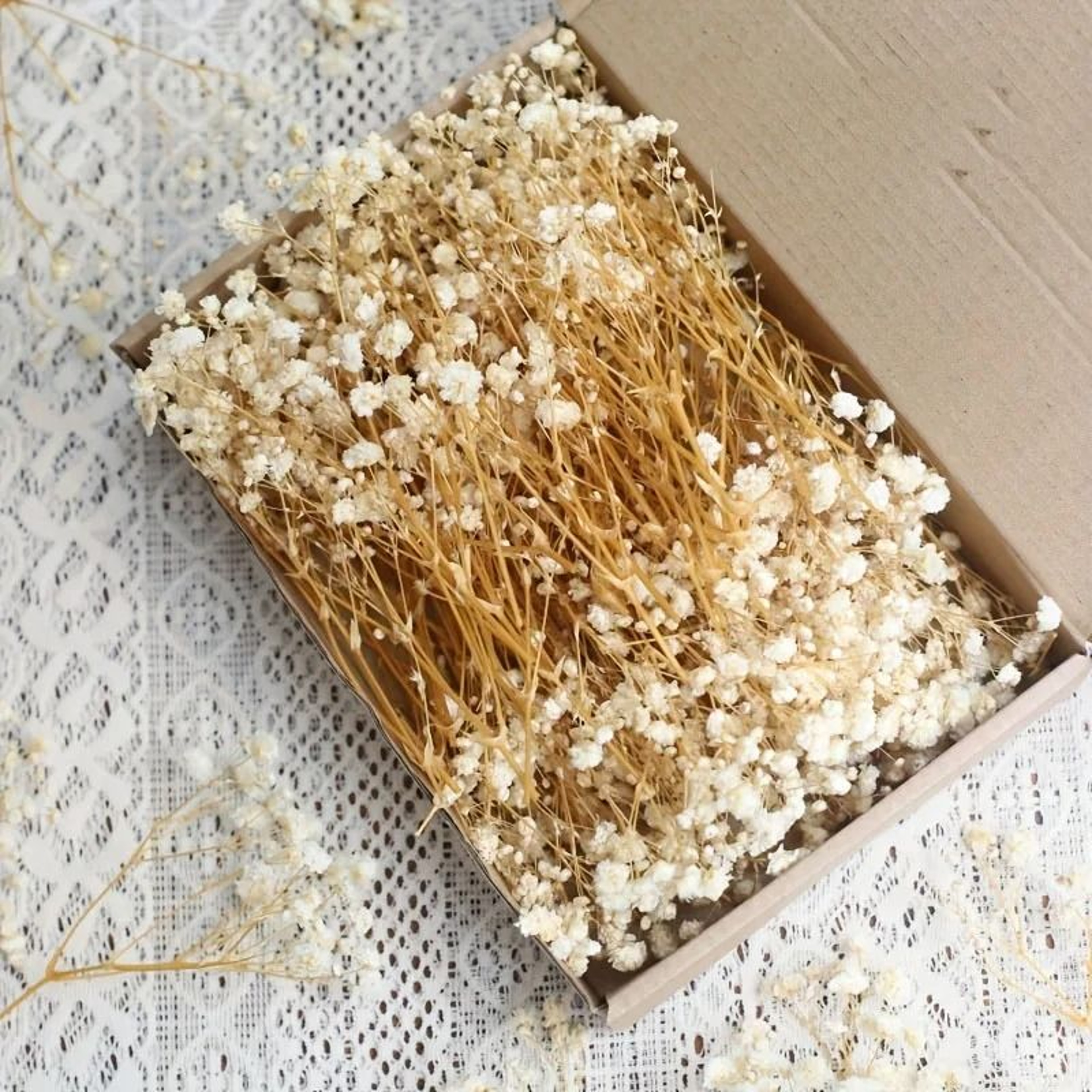 100Pcs Dried Babys Breath Flowers  Real Gypsophila For Resin Crafts DIY Wedding  Home Decor 7