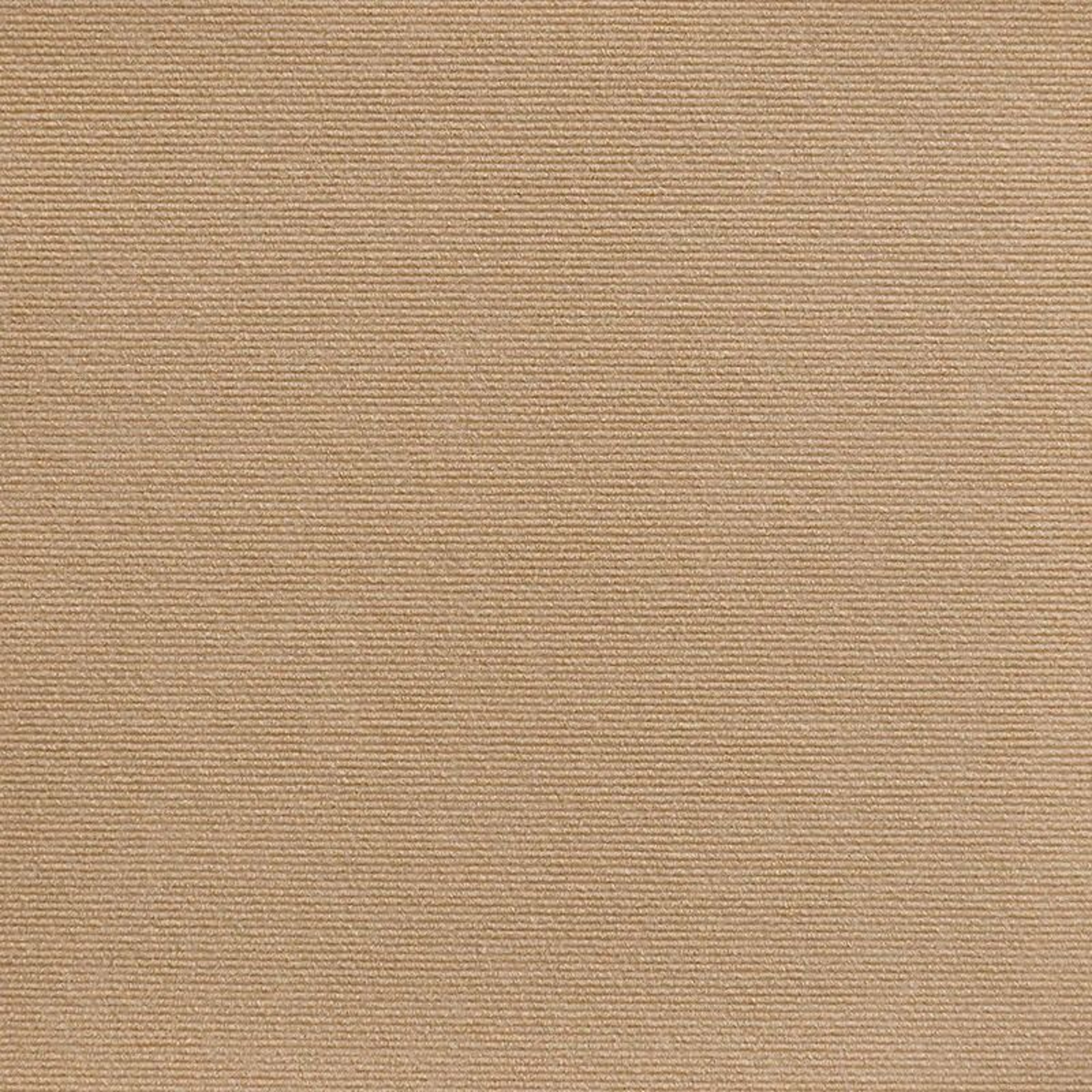 SelfAdhesive Furniture Protective Carpet  Cat Scratch Guard AntiSlip Mat  MultiSurface Sofa  Floor  9