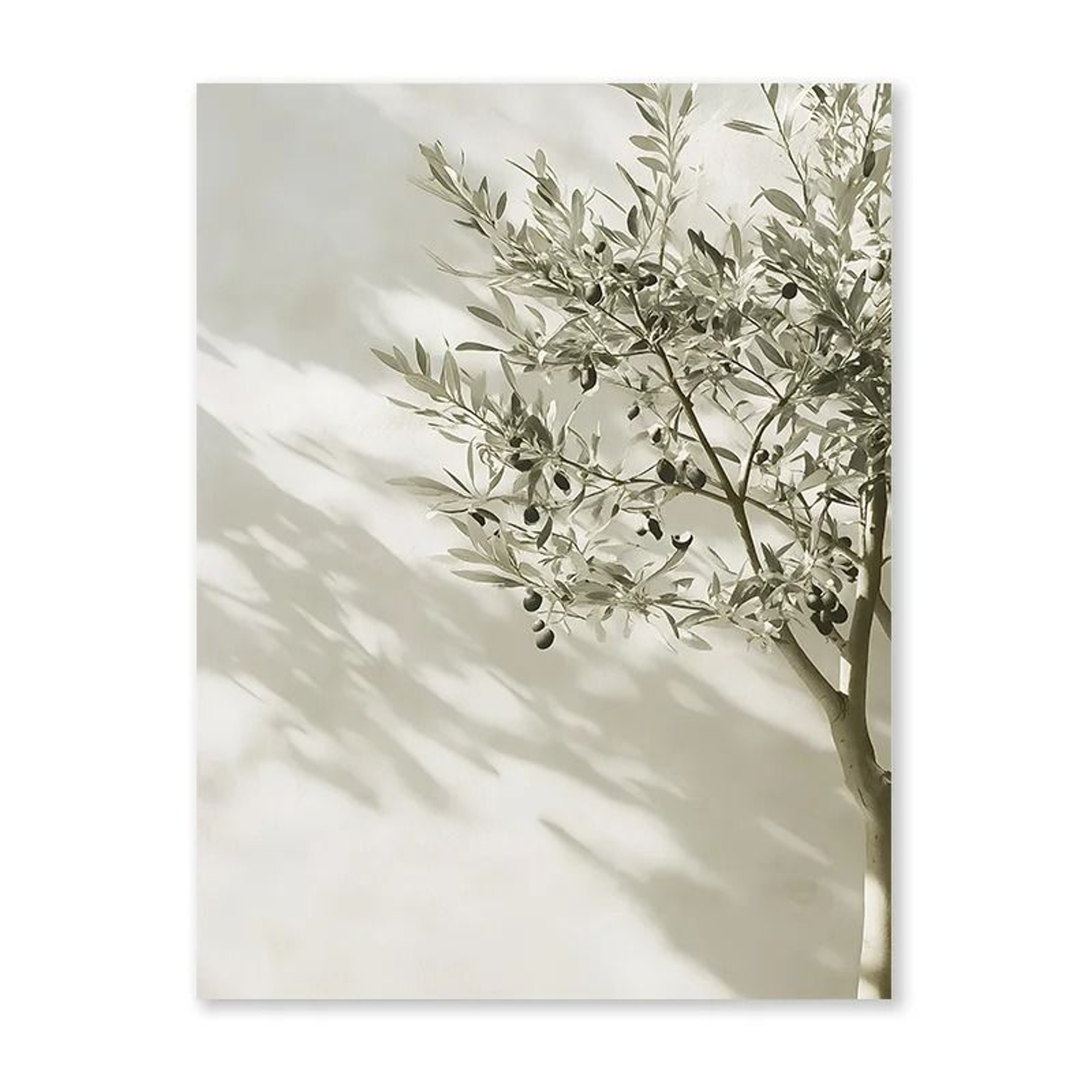 Mediterranean Olive Grove Canvas  Countryside Landscape Art  Executive Studio  Coastal Sanctuary De 6